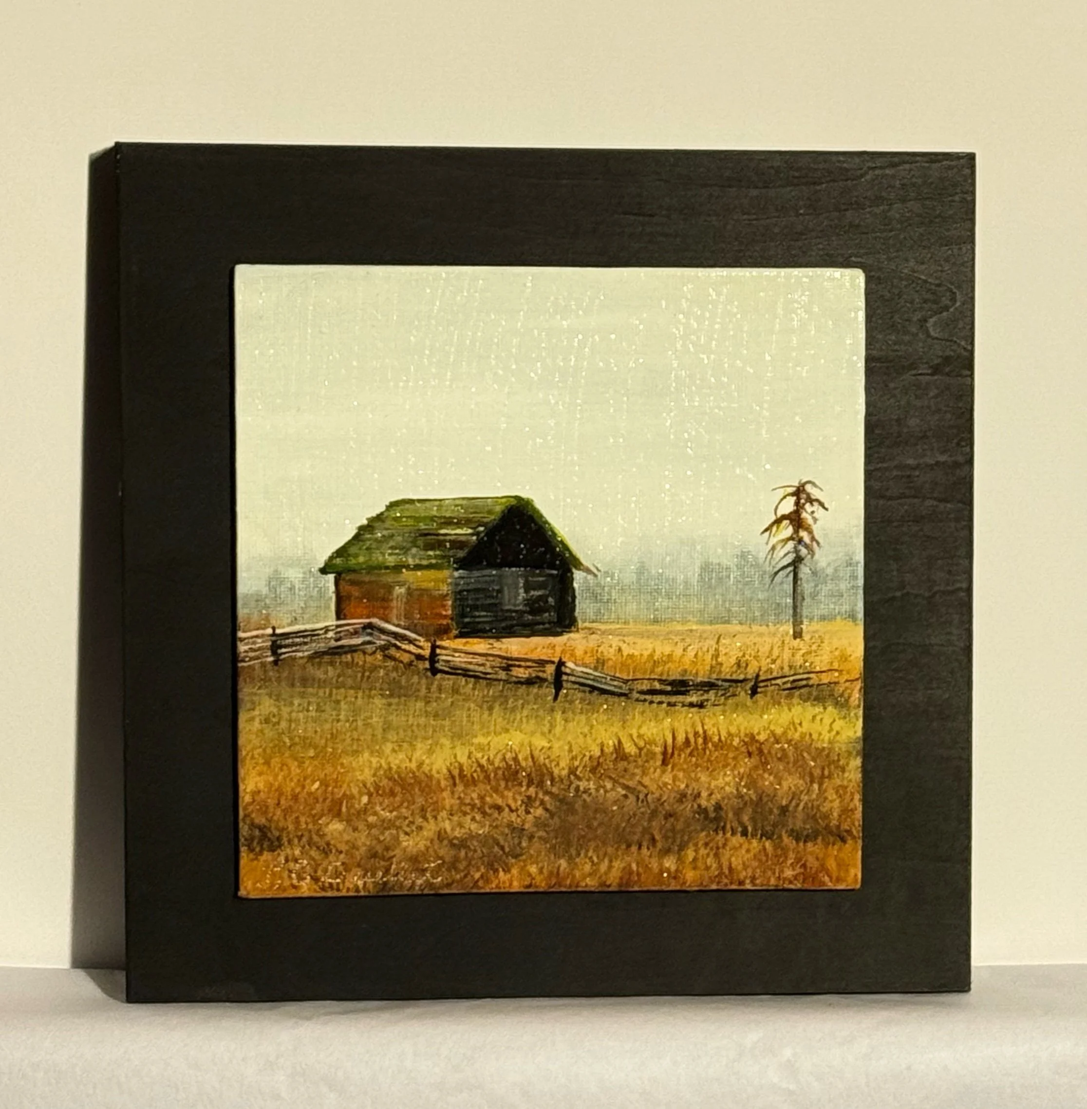 Old Cabin Near Logan Lake, BC