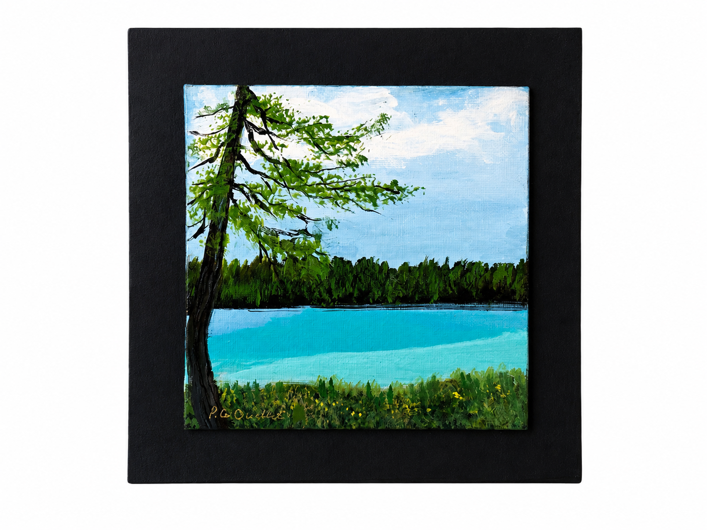703A01AB-902E-4464-A080-3D37140F30A5.PNG