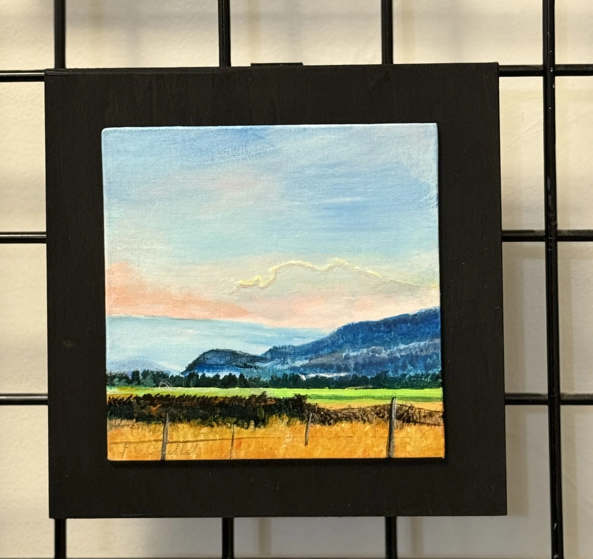 Sunshine Valley BC-SOLD