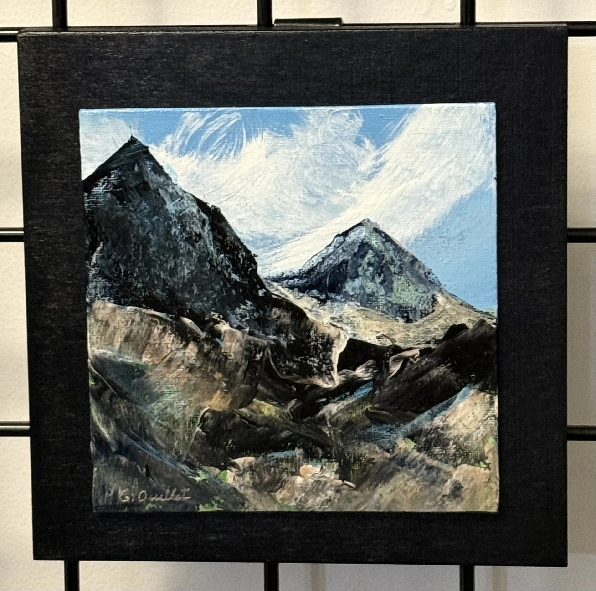 IMG_0339.jpeg