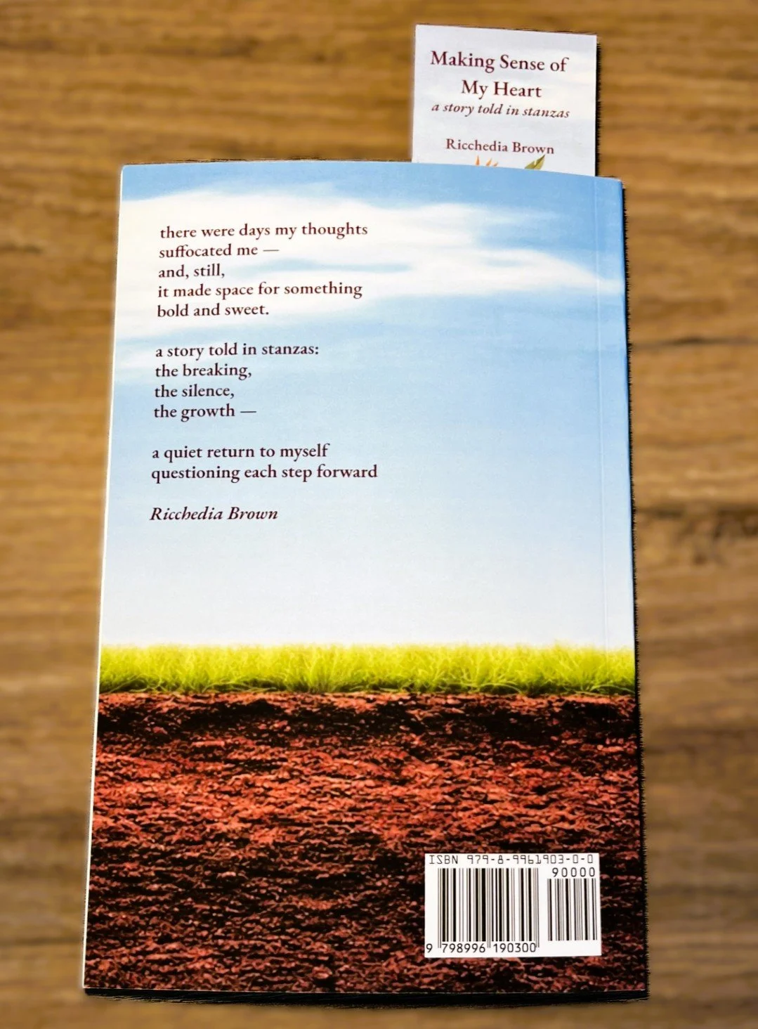 back cover and bookmark - edited.jpg