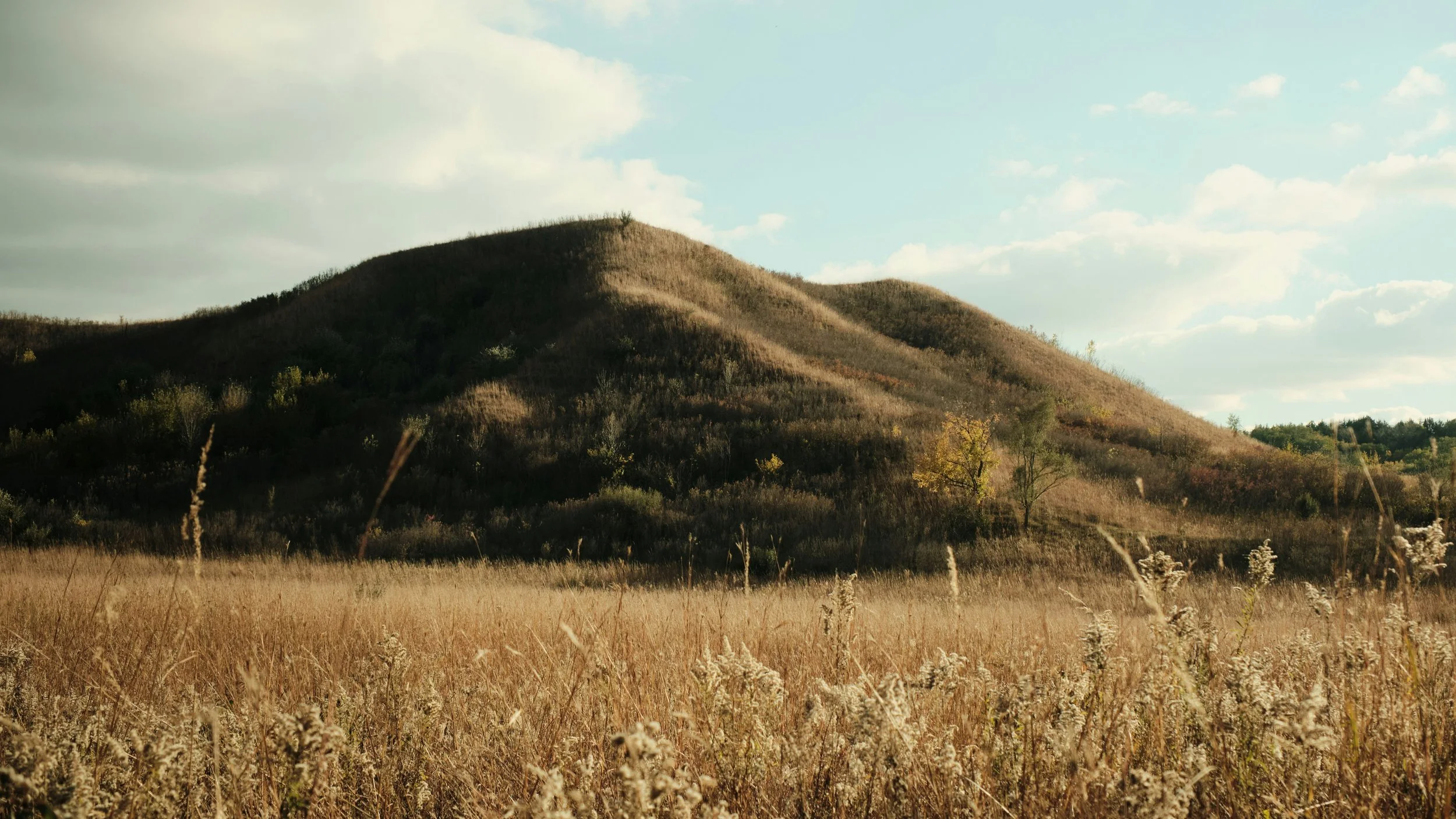 A grassy field with tall dry grass in the foreground, a hill with sparse vegetation in the middle ground, and a partly cloudy sky in the background.