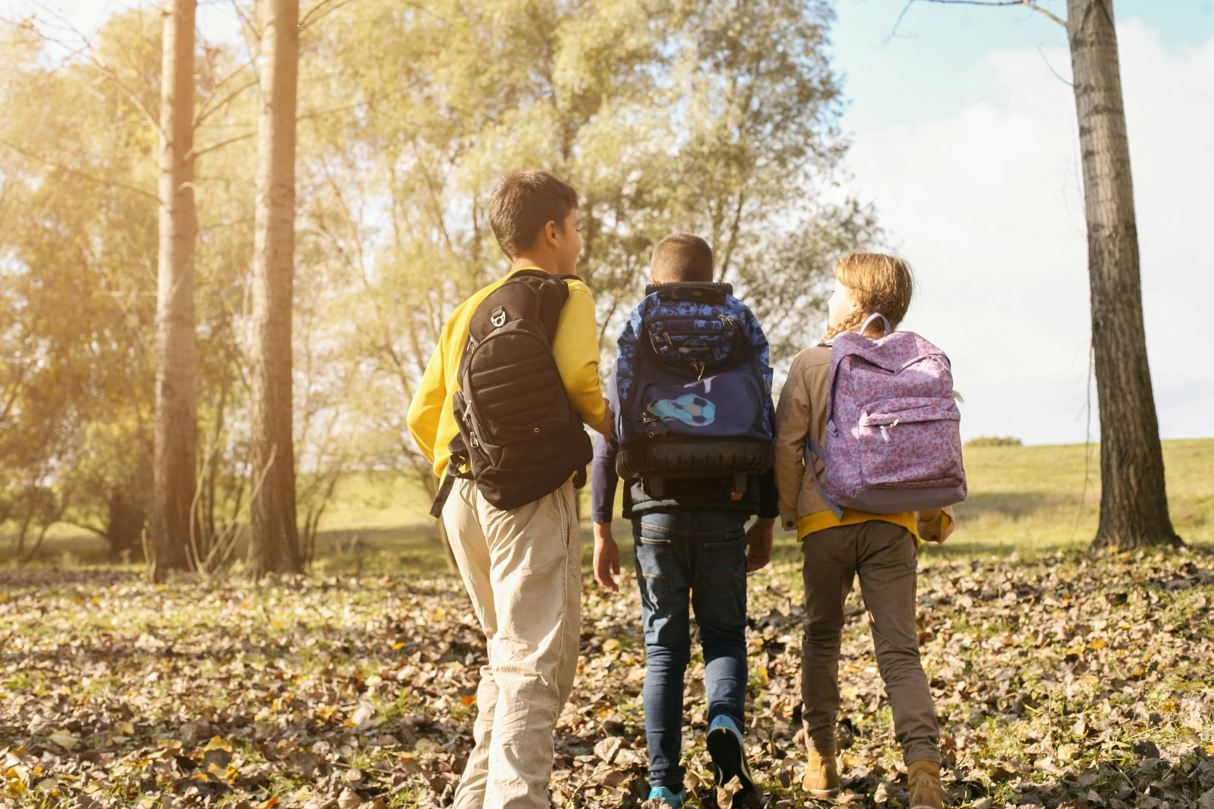 Three children with backpacks walking through a forest with autumn leaves on the ground and trees around on a sunny day.