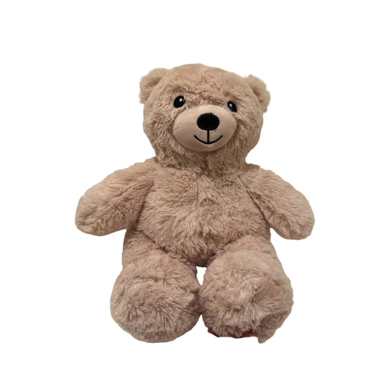 Meet Teddy Bear Buddy! 