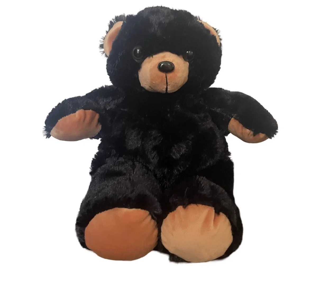 Meet Black Bear Buddy ! 