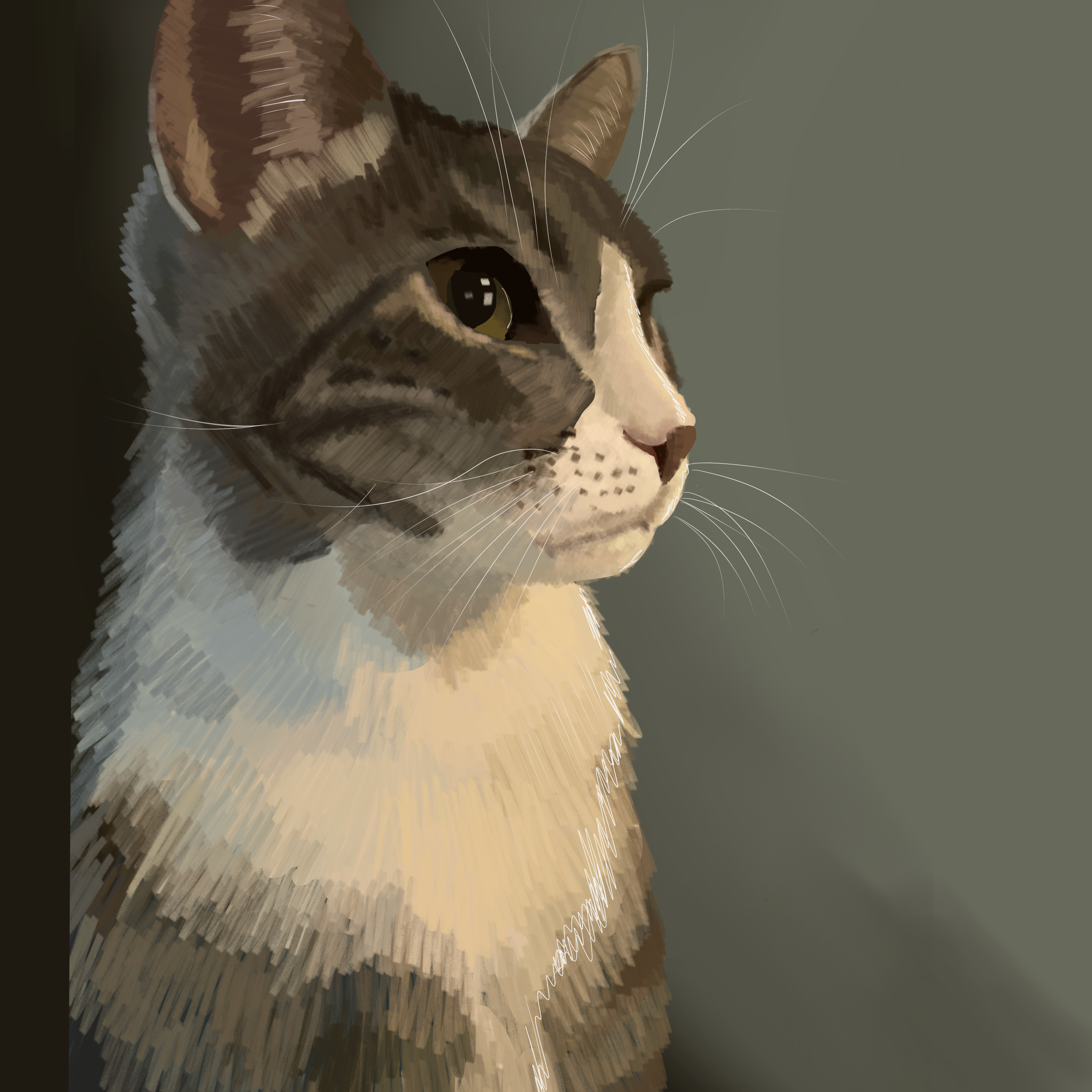IMG-0201 (1).png
