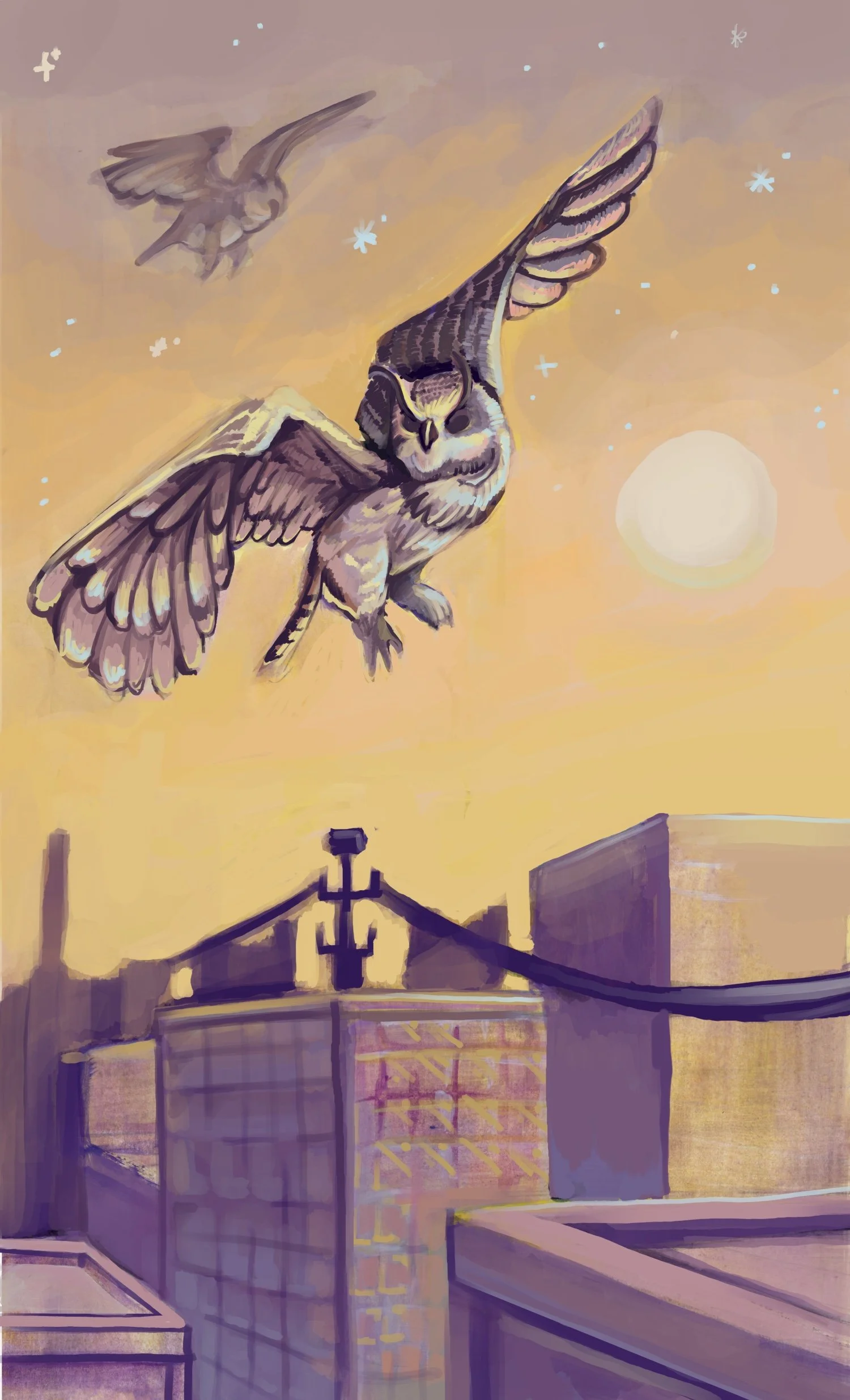 Owl Packaging.jpg