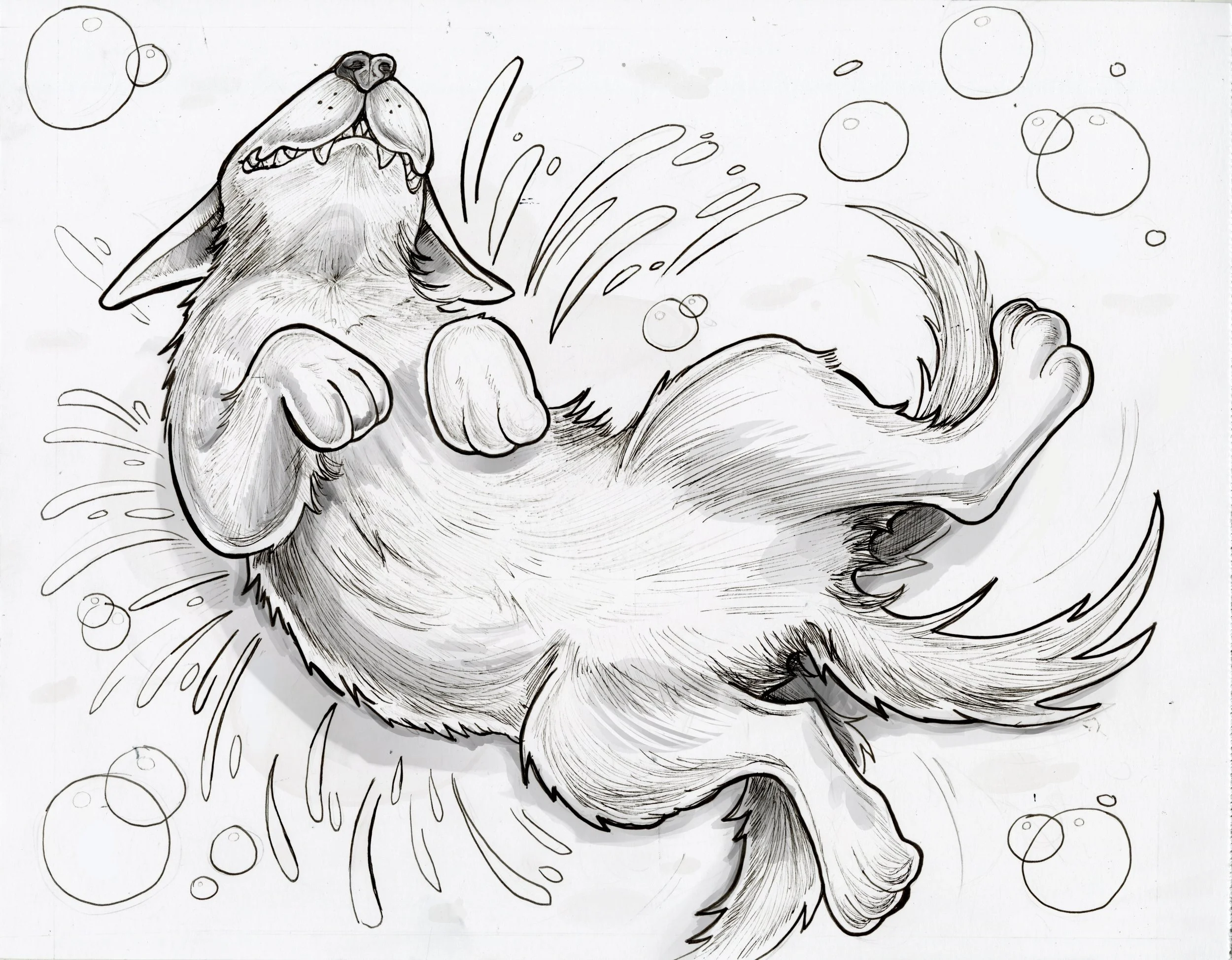 Muddy puppy three.jpg