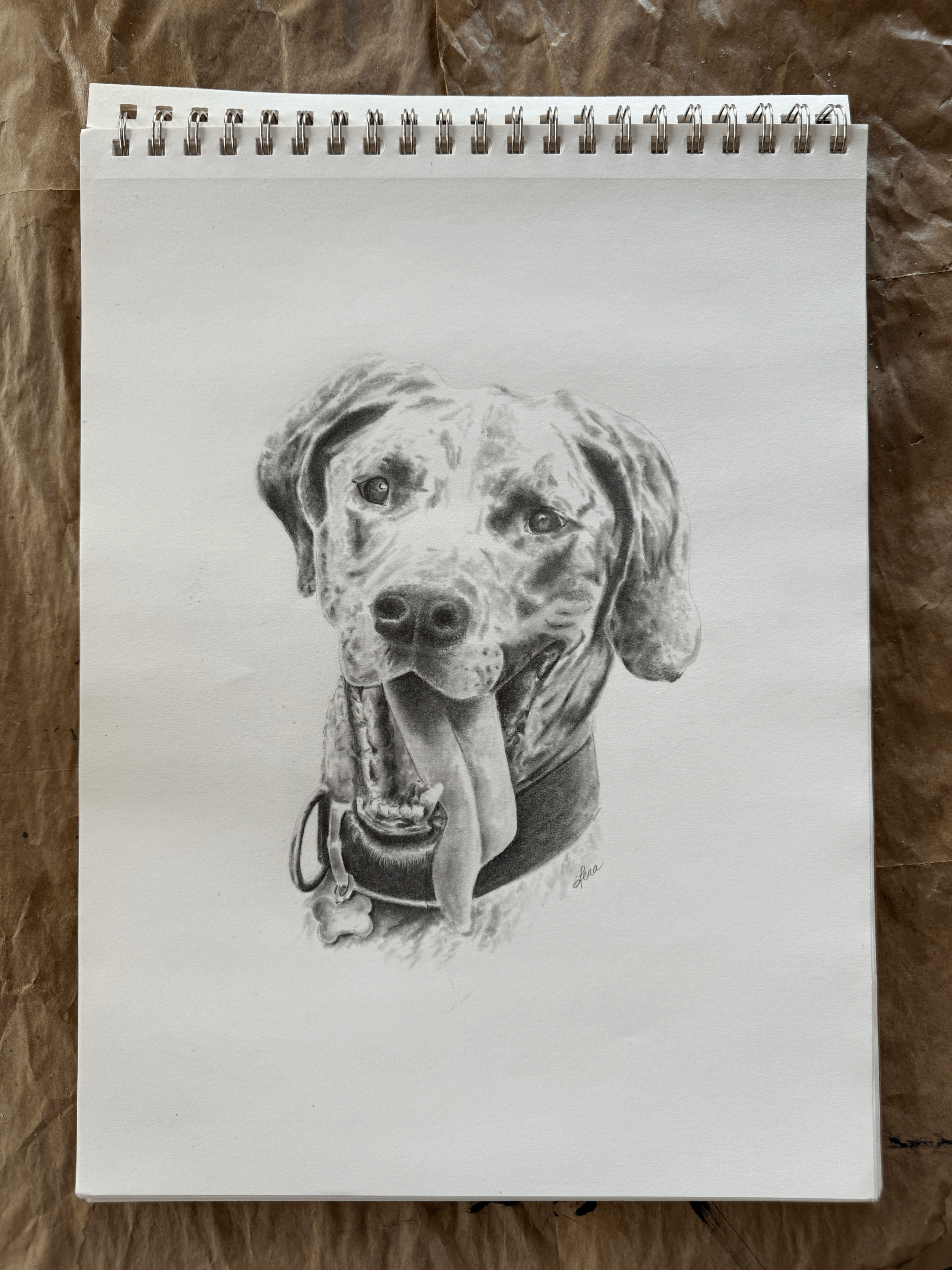 Sketch Pet Portrait
