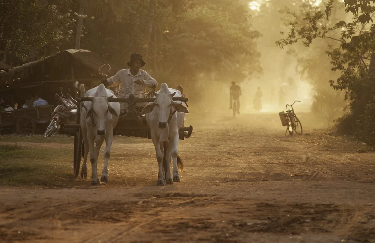 Daily-lives-in-Village-4.jpg