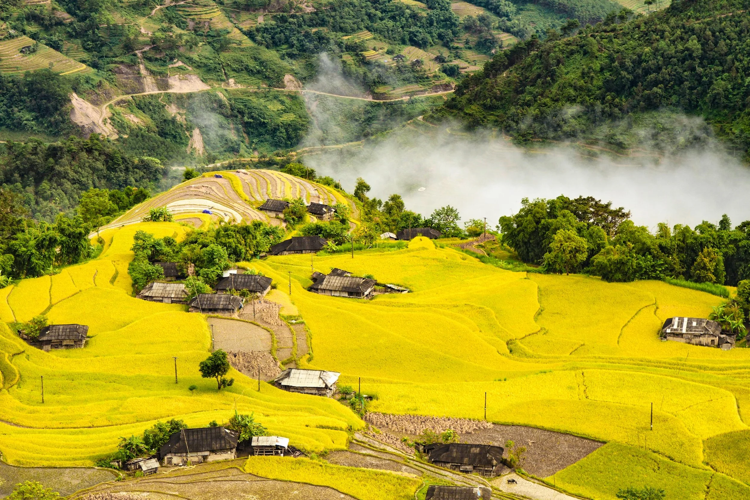 Terraced rice fields and small houses on a hillside with mist in the valley below, surrounded by green mountains.