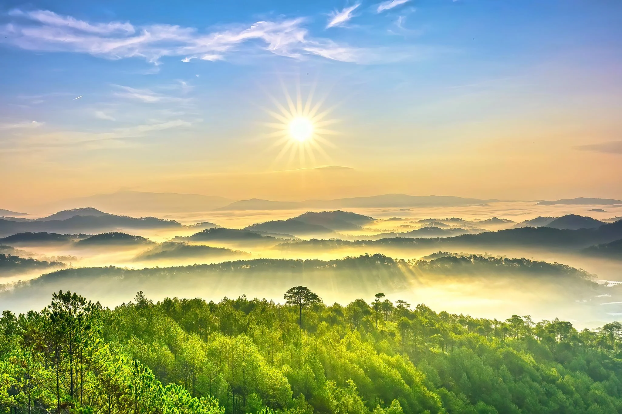 Sunrise over a lush green forest with mist-covered hills in the background and a partly cloudy sky.