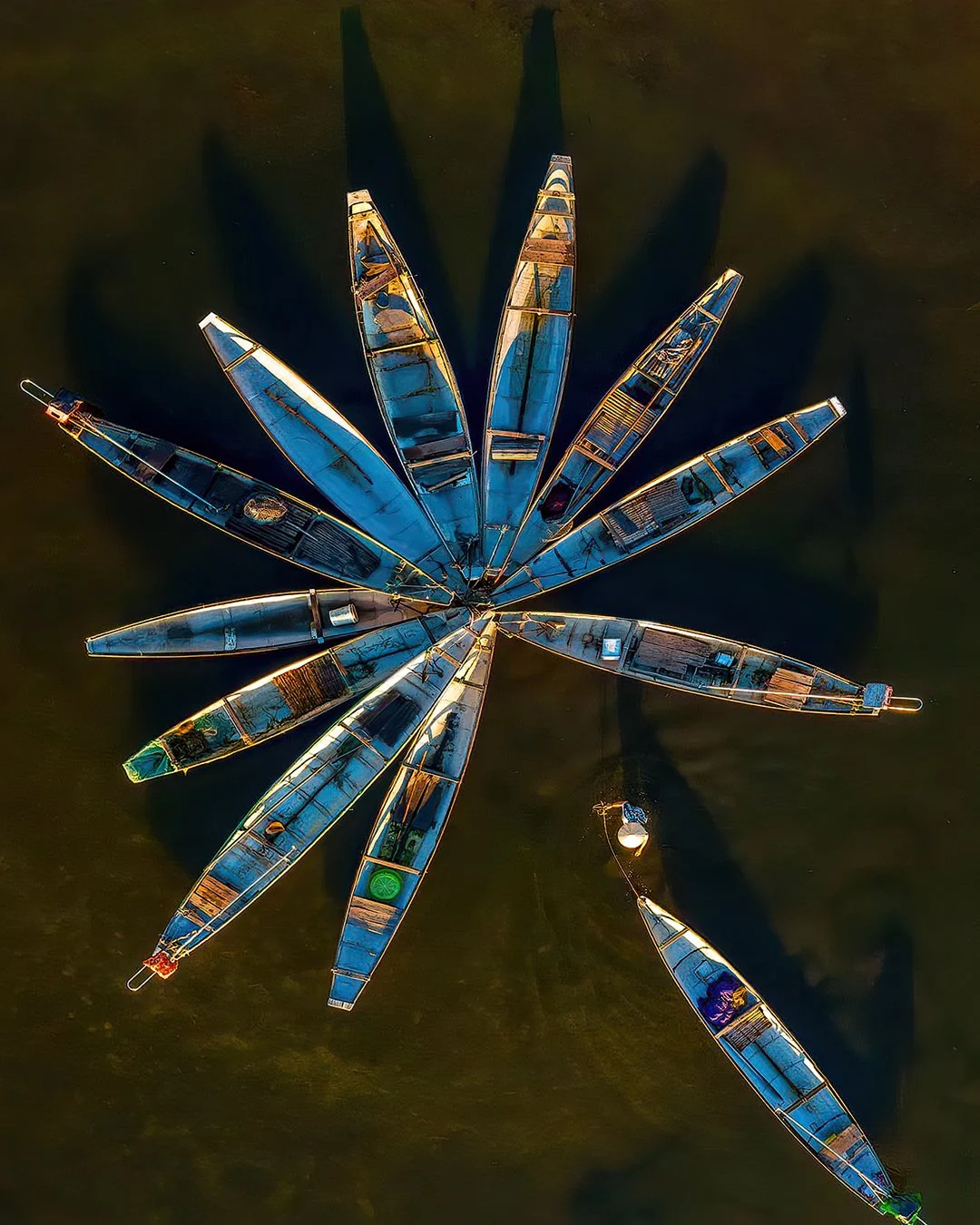 Overhead view of multiple wooden boats floating on dark green water, arranged in a circular pattern creating a flower-like shape.