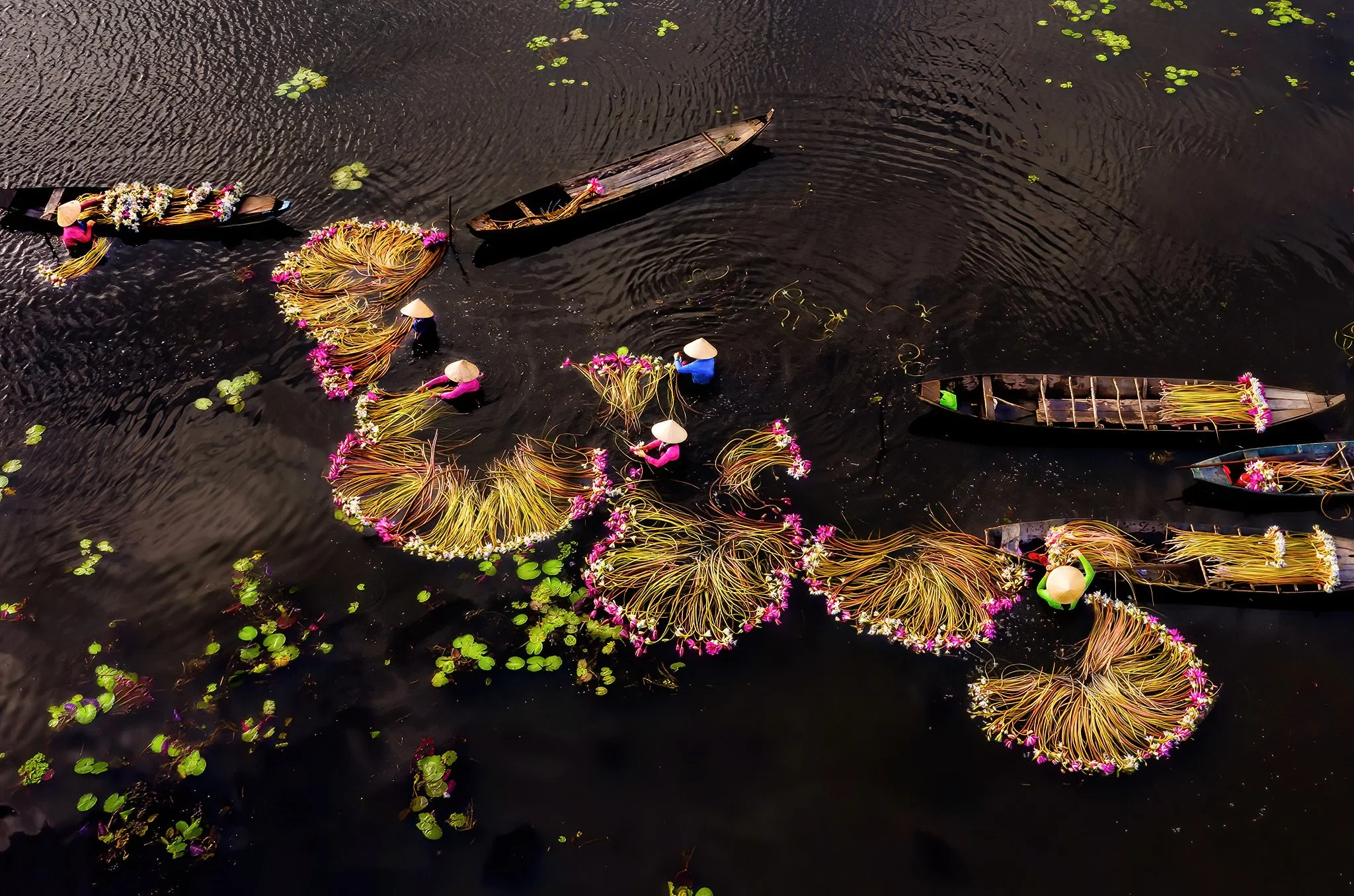 Boats floating on dark water decorated with colorful flowers and lotus blossoms, some boats with people wearing traditional conical hats.