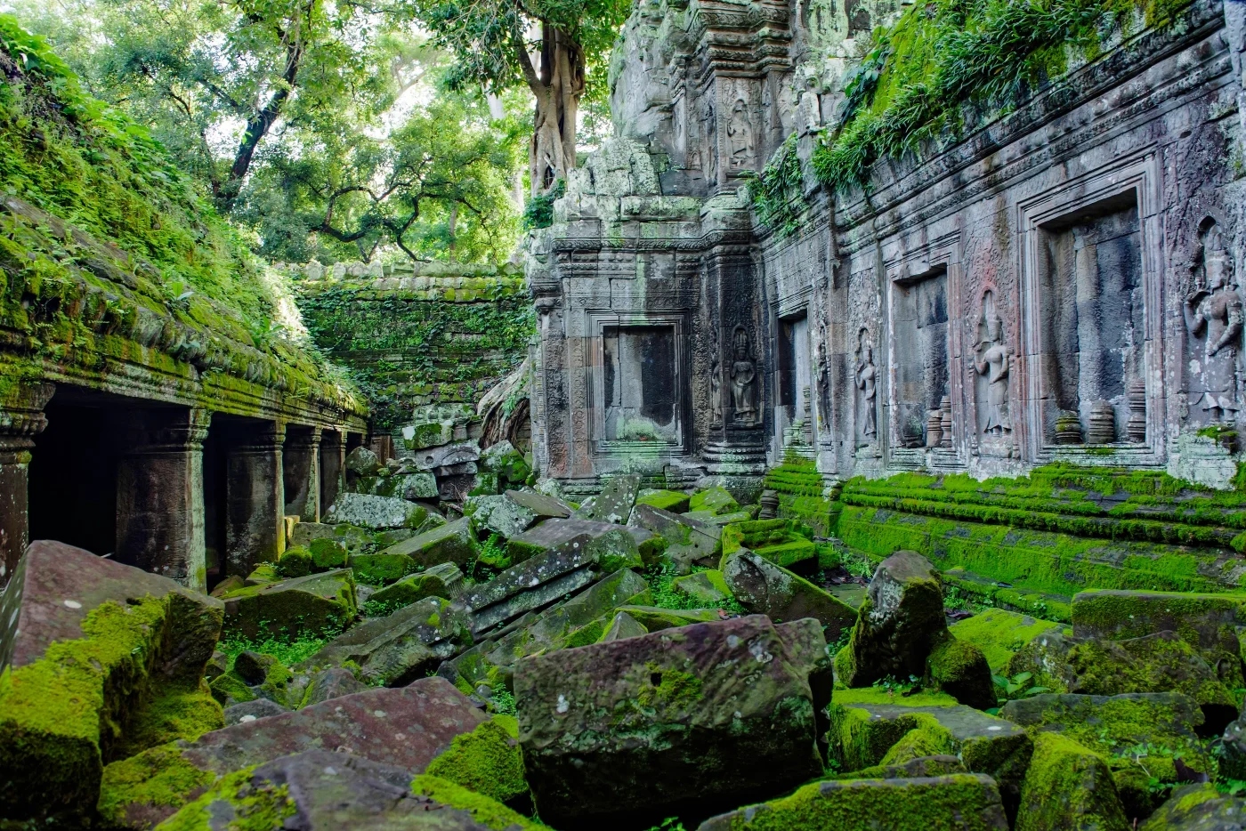 ta-prohm.webp