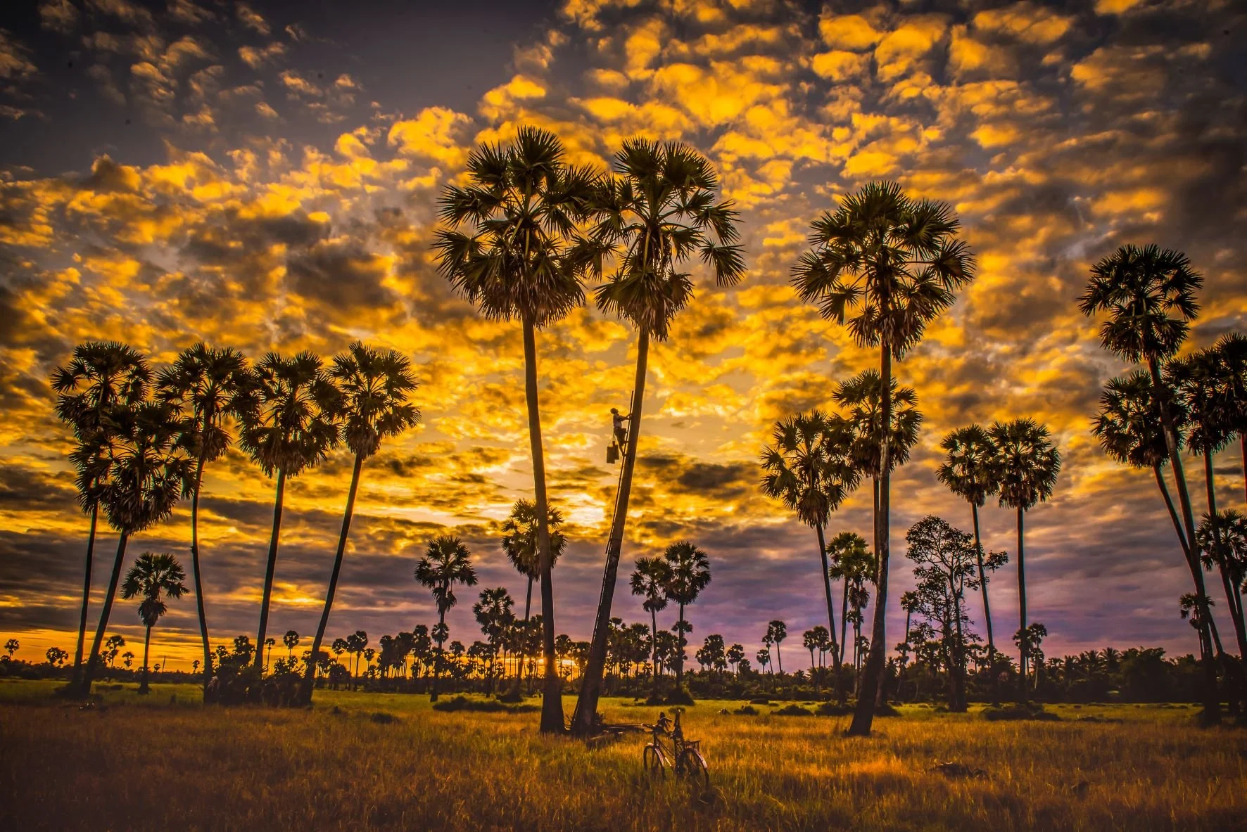 Sunrise-at-countryside1.jpg