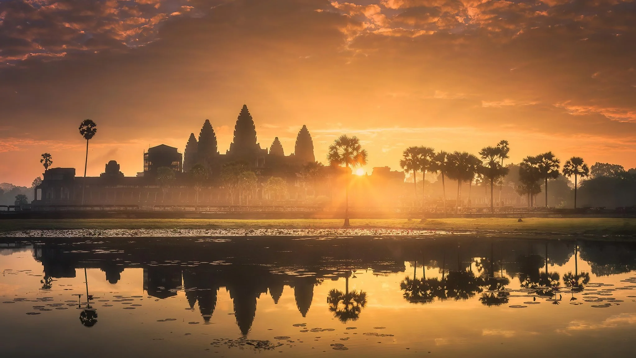 Silhouette of Angkor Wat temple complex at sunrise, with palm trees and reflections in water.