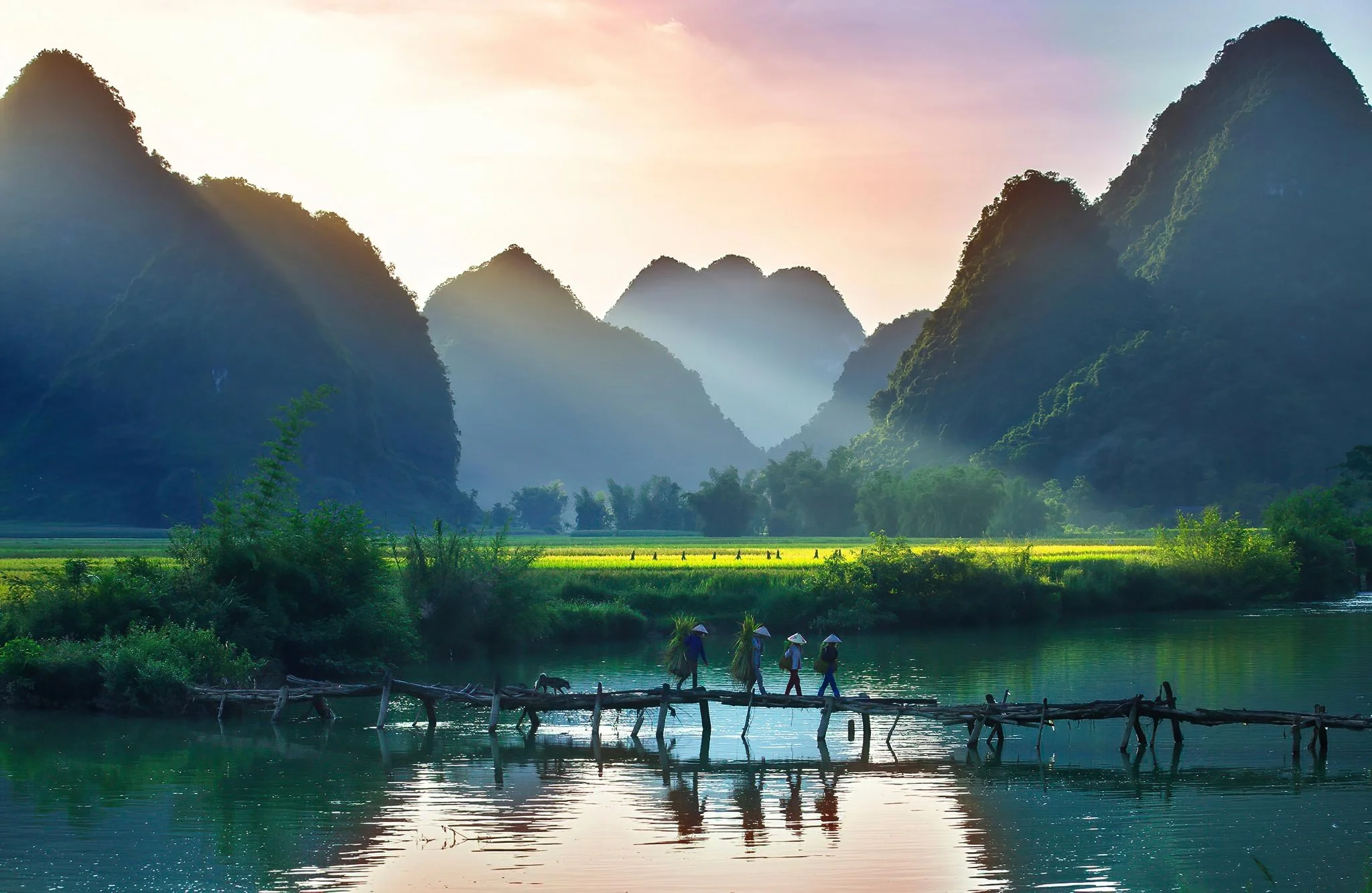 Four people wearing conical hats walk across a makeshift wooden bridge over a calm river, with lush green vegetation and towering mountains in the background.