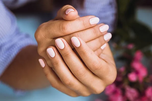 IMG_2763.jpeg