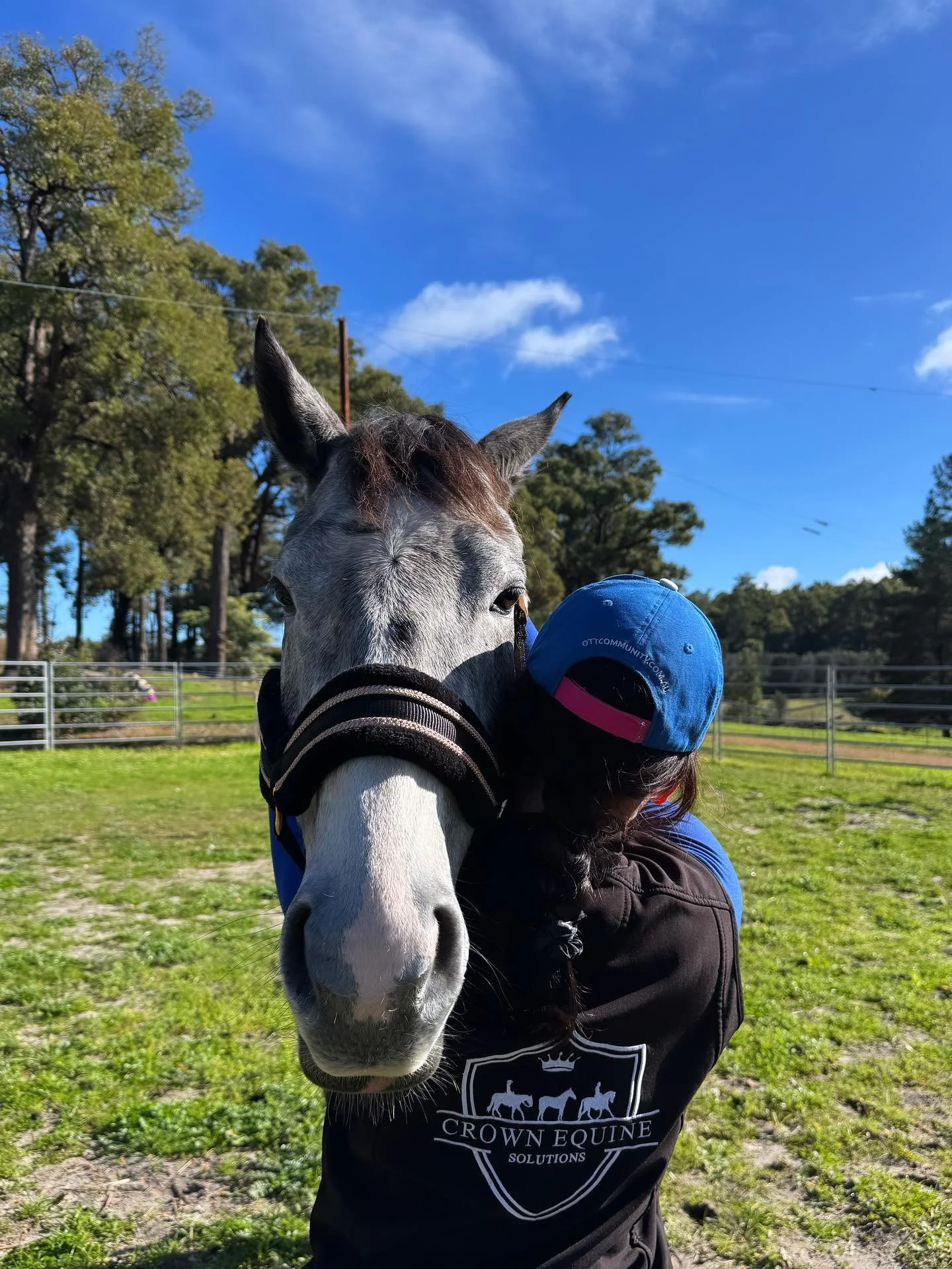 no.jpeg