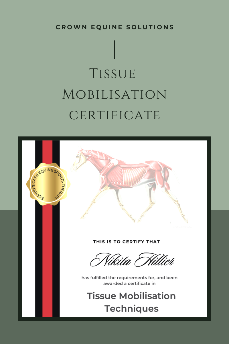 Tissue Mobilisation Complete!