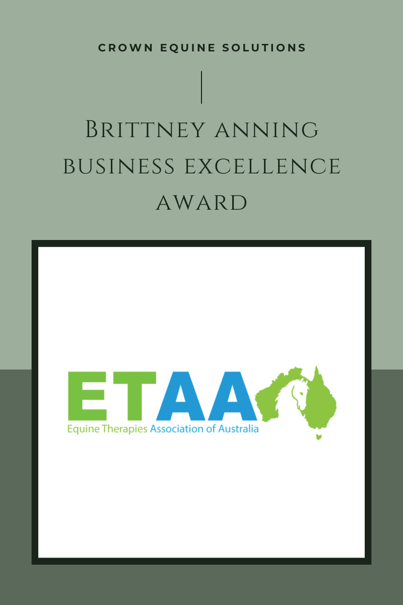 Brittney Anning Business Excellence Award