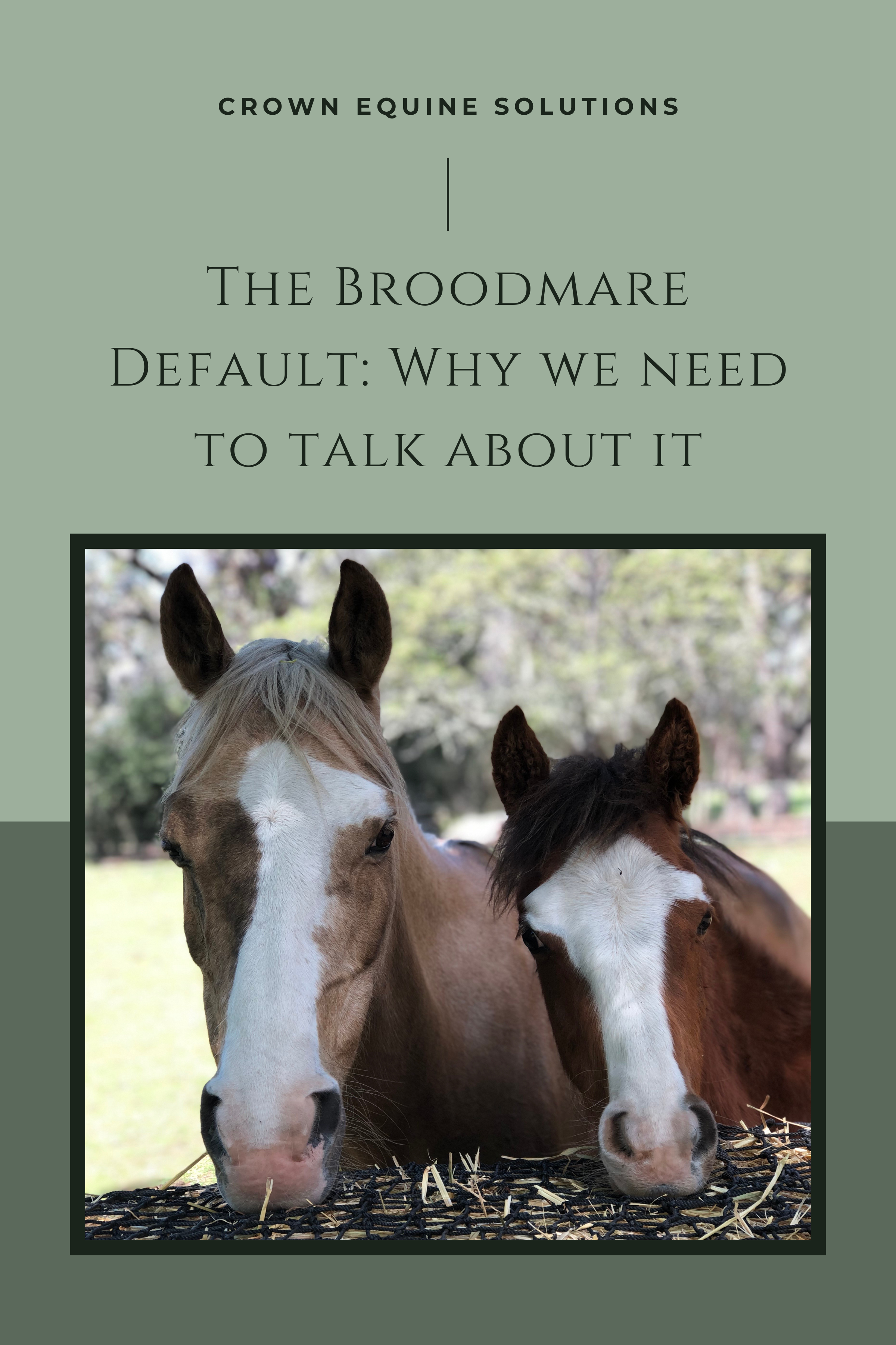 The Broodmare Default: Why We Need to Talk About It