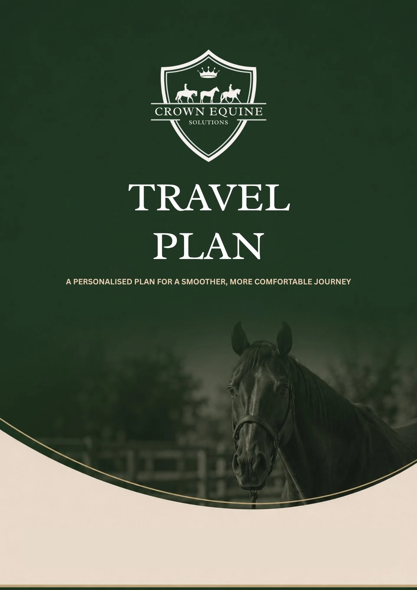 Custom Travel Prep and Support Plan
