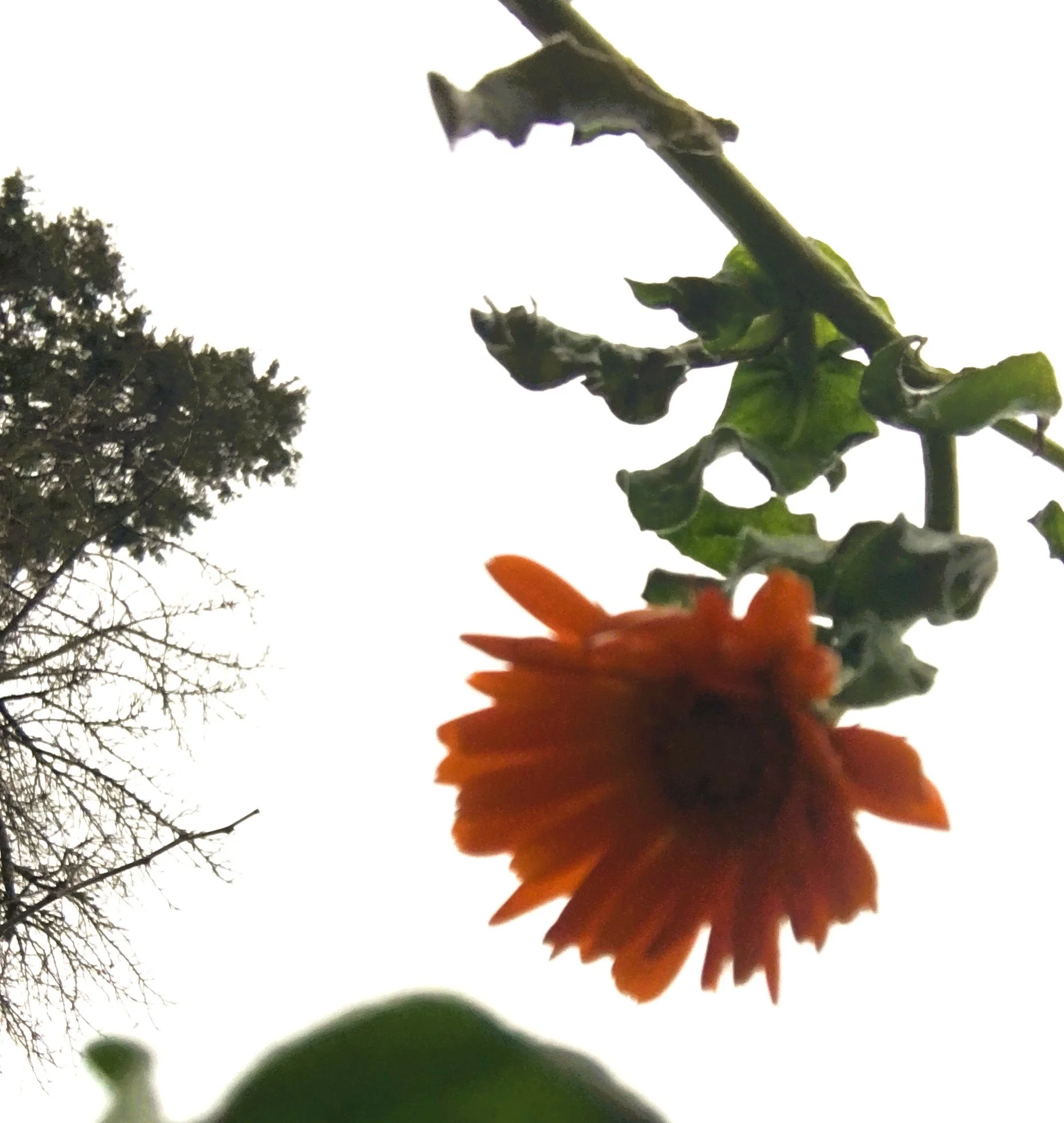 Tarkovsky on Crafting the Artistic Image: Time, Rhythm, and Editing