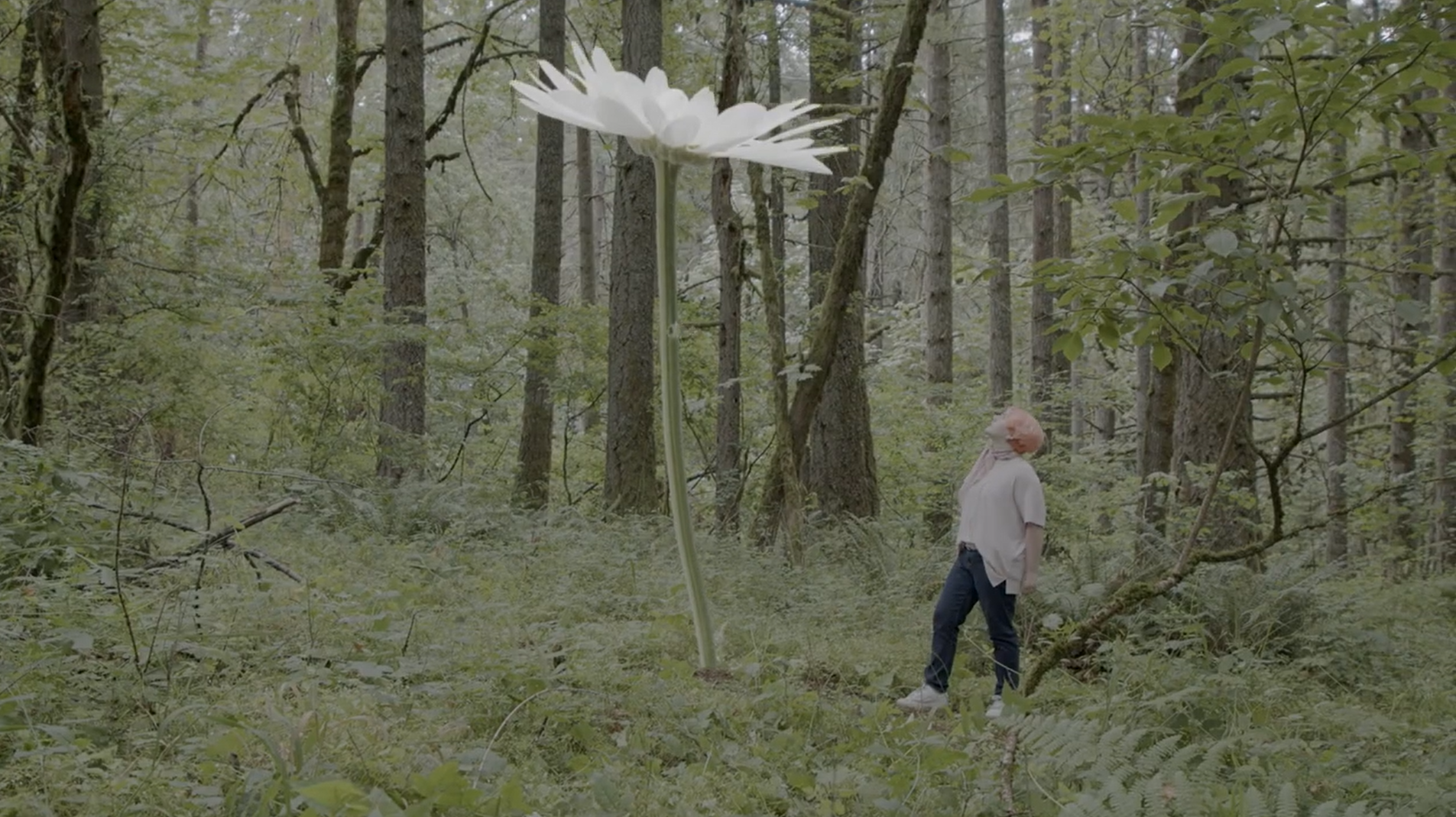 Flower full shot.png