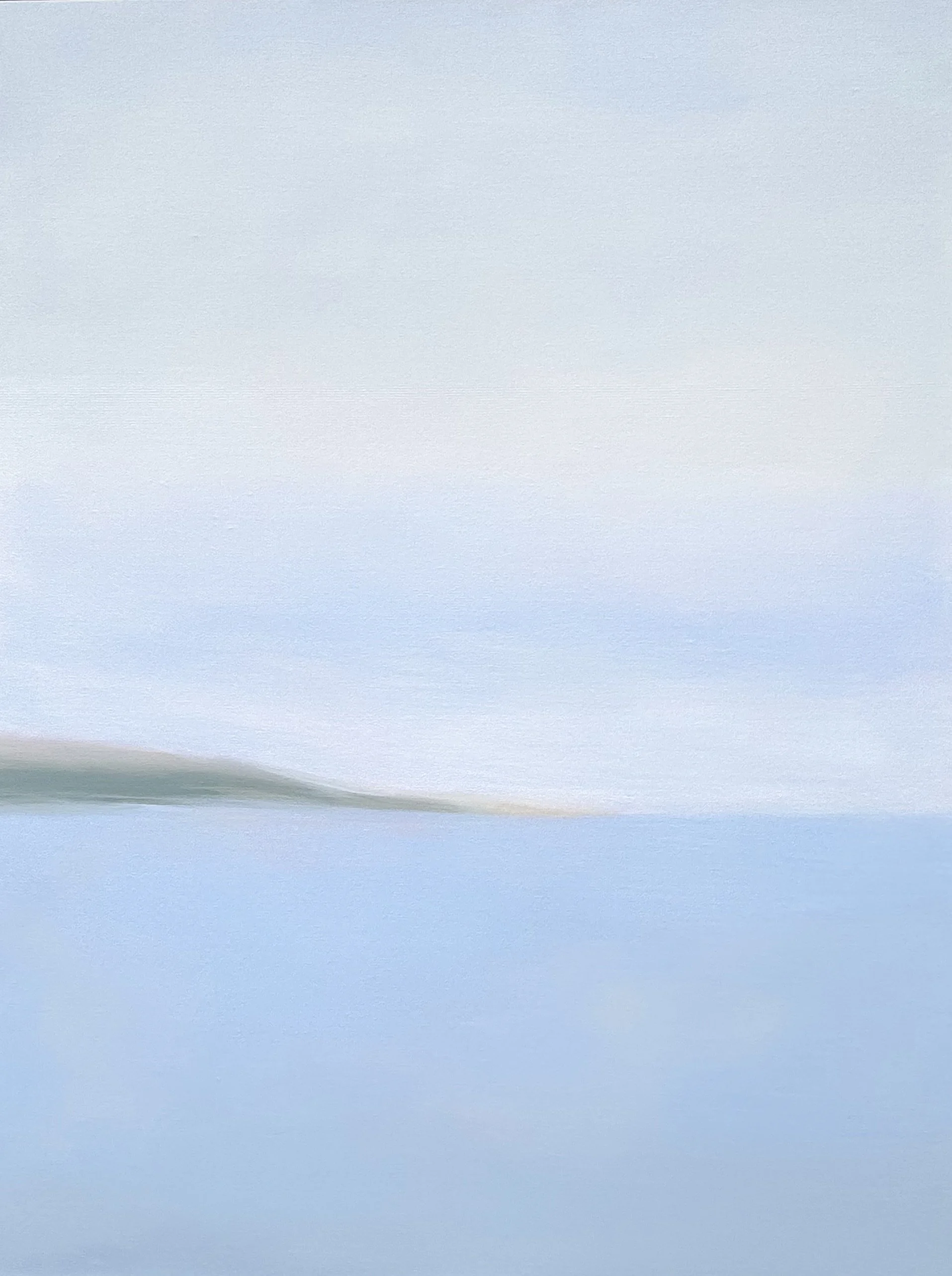 Foley Dreaming of Outer Cape 31.5x41.5 $5000.jpeg