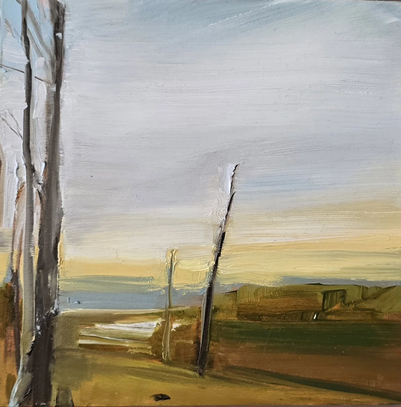 Pete Hocking, "Pamet Watershed"