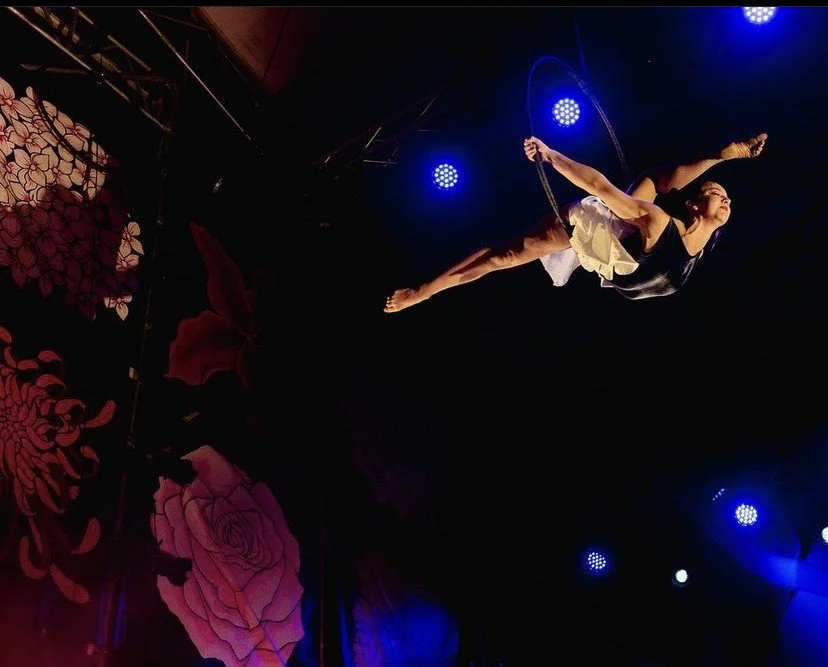 Aerial Hoop copy.jpeg