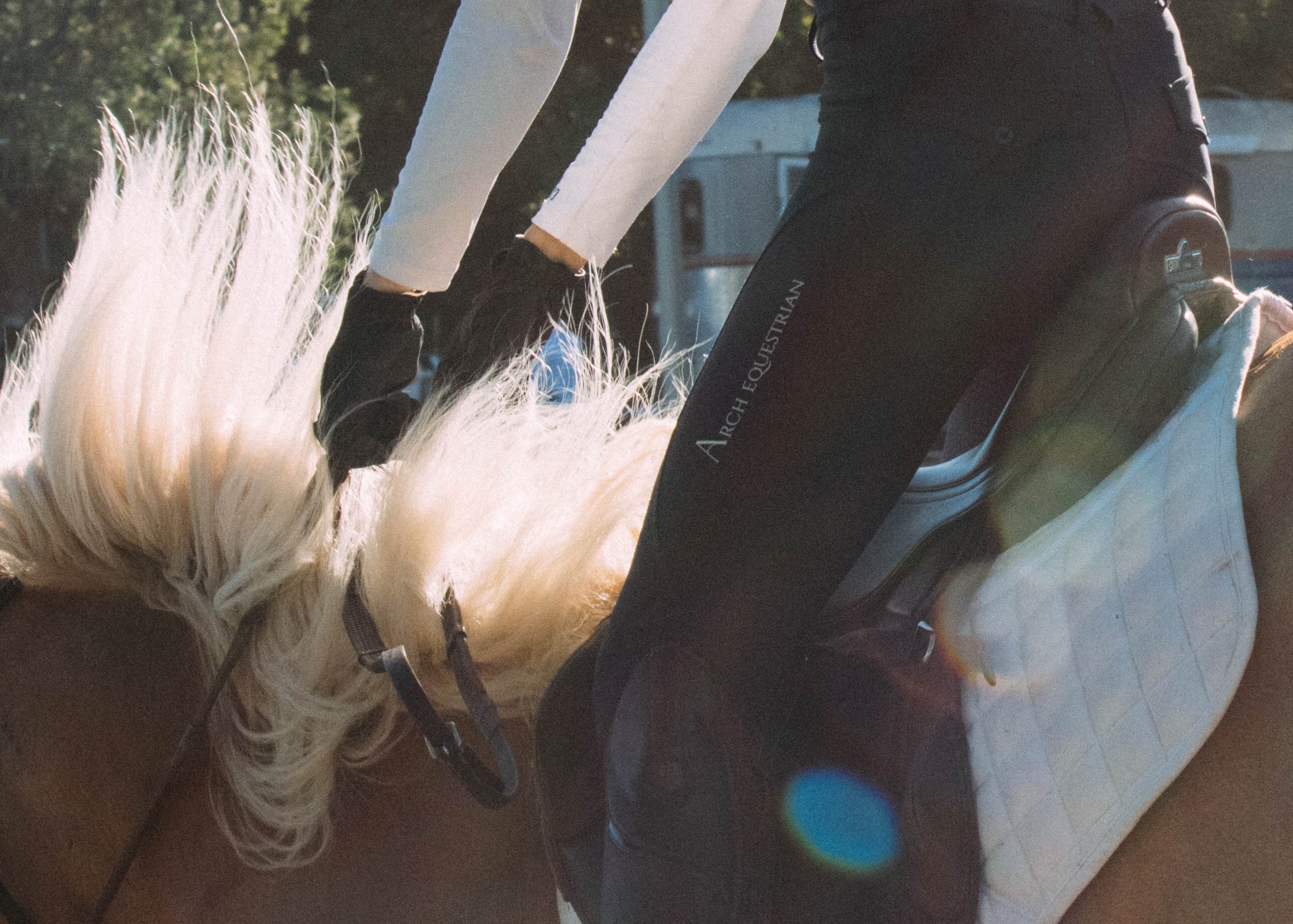 Hybrid Breeches All Other Colours