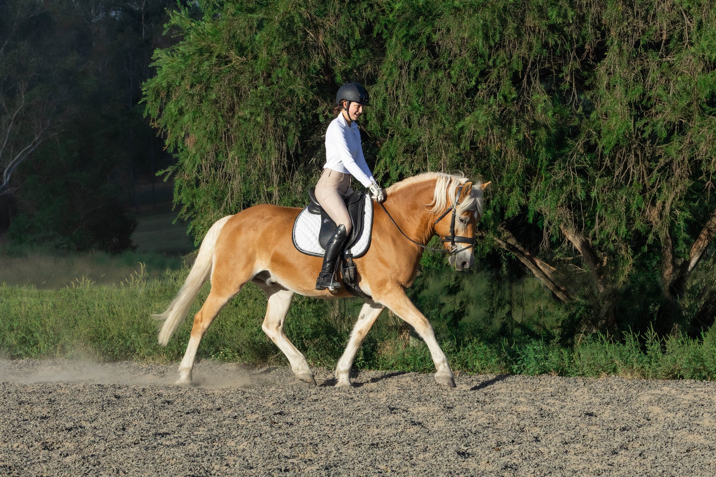 R6M21290-Edit.jpg