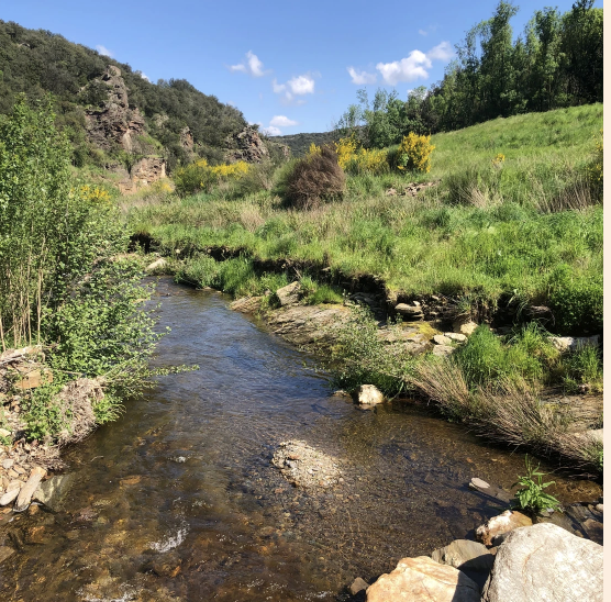 Screenshot 2026-02-03 at 14.57.01.png