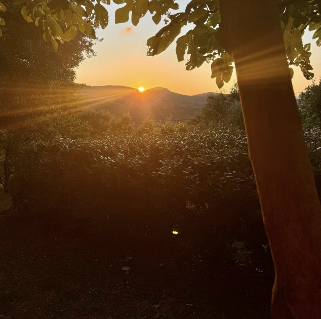 Screenshot 2026-02-03 at 14.57.14.png