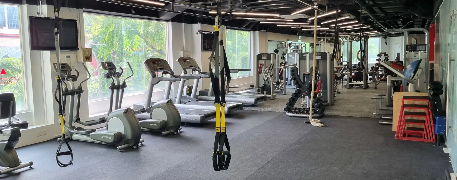 Fitness gym with treadmills, elliptical machines, weights, resistance bands, a rope, and other workout equipment, illuminated by natural light from large windows.