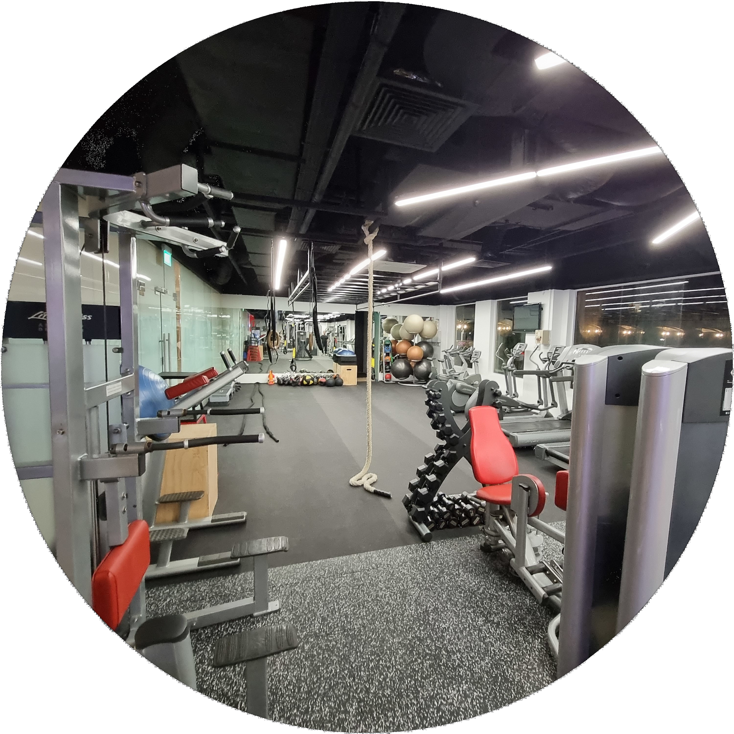 Empty gym with various workout equipment, including treadmills, dumbbells, stability balls, and a climbing rope.