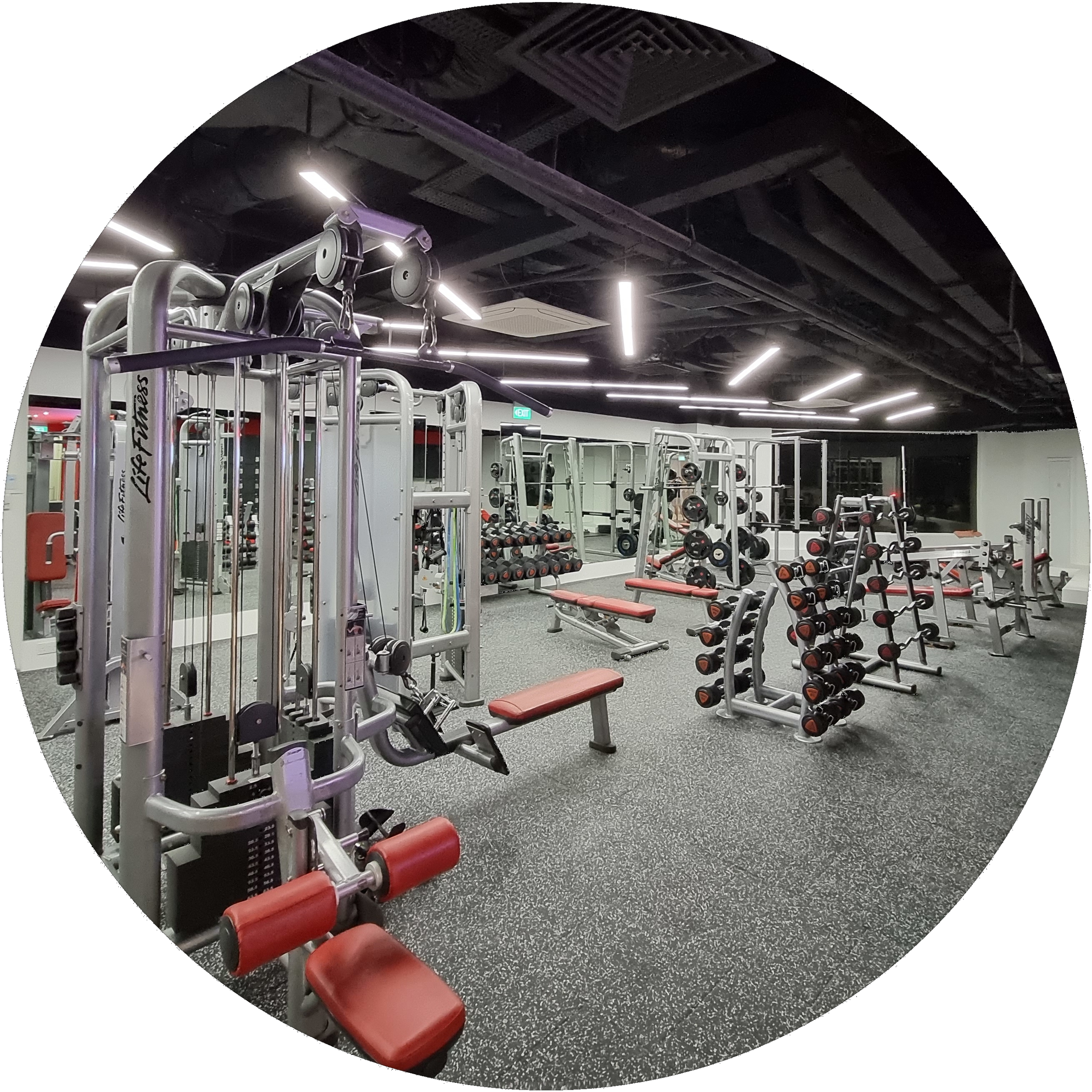 Empty gym with various weightlifting equipment, including dumbbells, benches, and machines, in a modern fitness center.