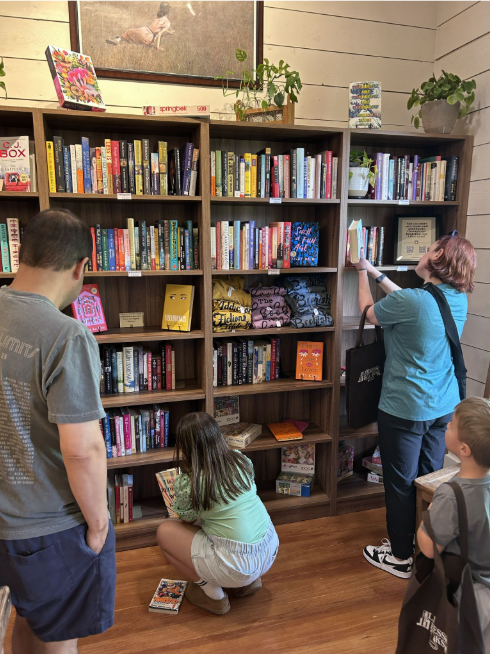 Lioness Books