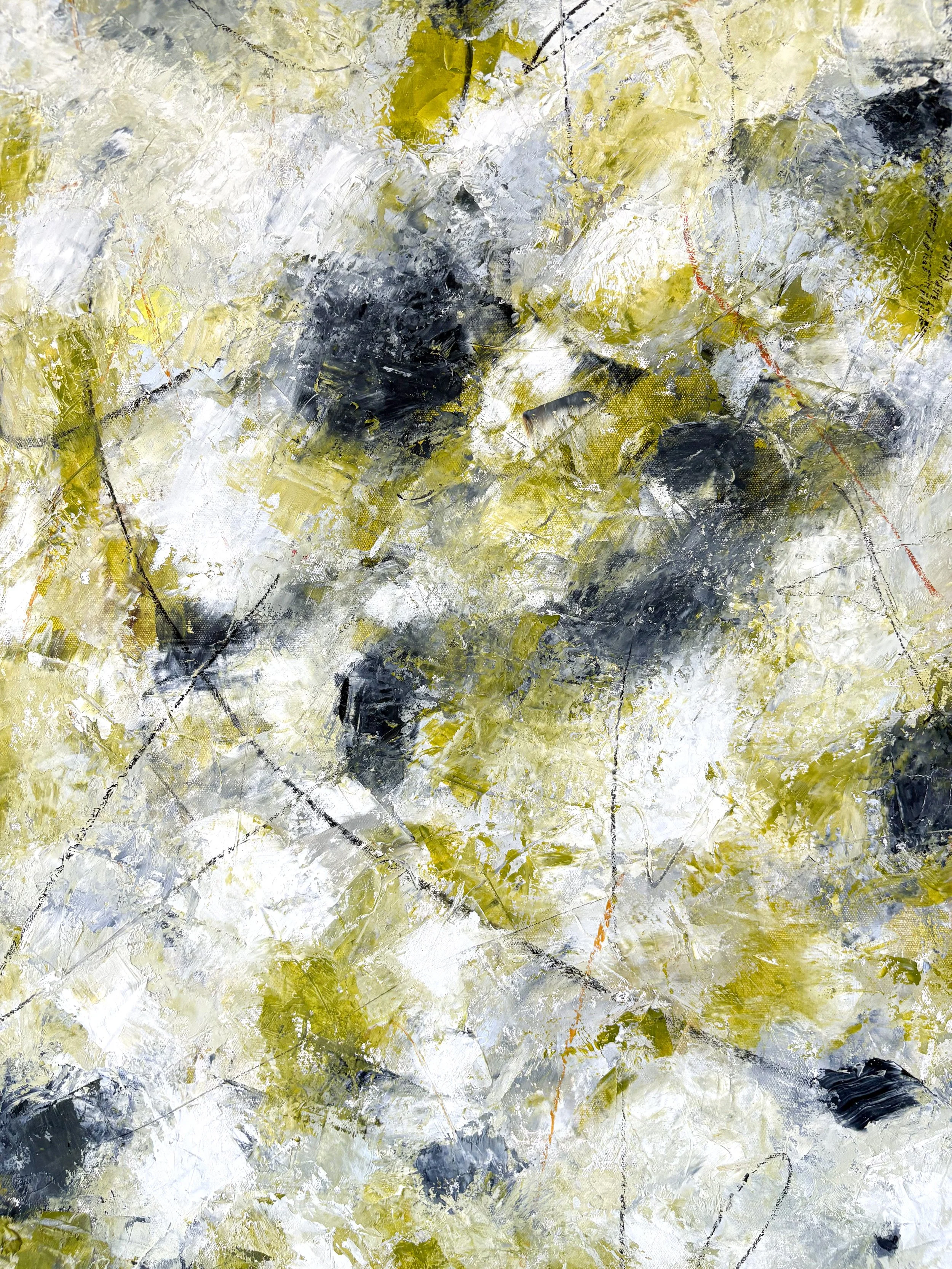 donna-north-painting-alluvial-3.jpg