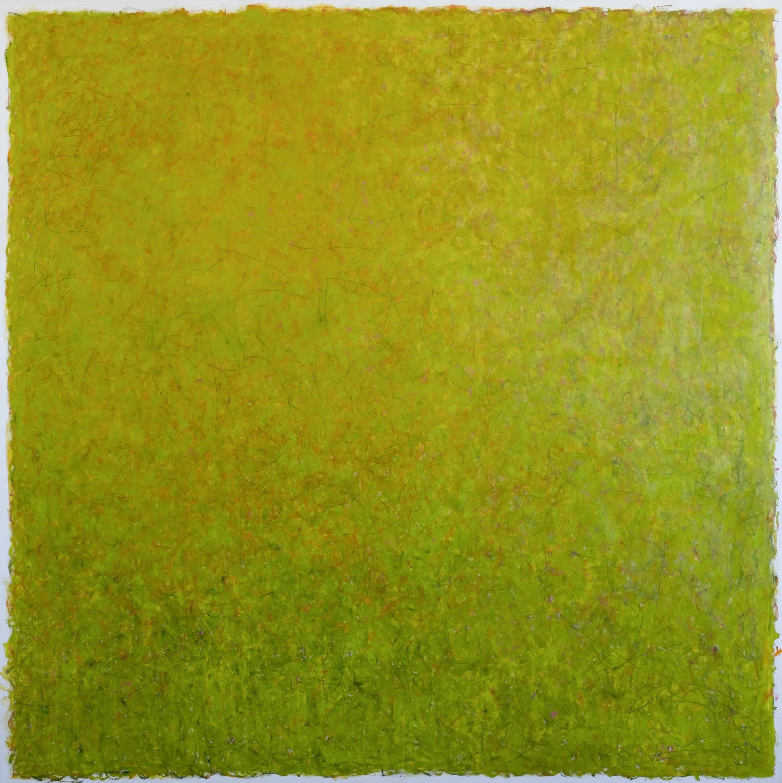 Canopy, an abstract oil painting by Donna North, dense chartreuse-green field with fine dark scrawled linework