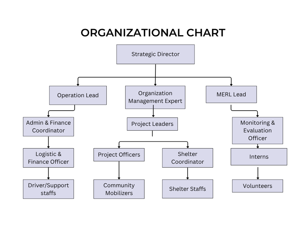 Organizational chart with a hierarchical structure showing a Strategic Director at the top, followed by three branches: Operation Lead, Organization Management Expert, and MERL Lead. The Operation Lead oversees Admin & Finance Coordinator, Logistic & Finance Officer, and Driver/Support Staff. The Organization Management Expert manages Project Leaders, Project Officers, and Shelter Coordinator. The MERL Lead supervises Monitoring & Evaluation Officer, Interns, and Volunteers.