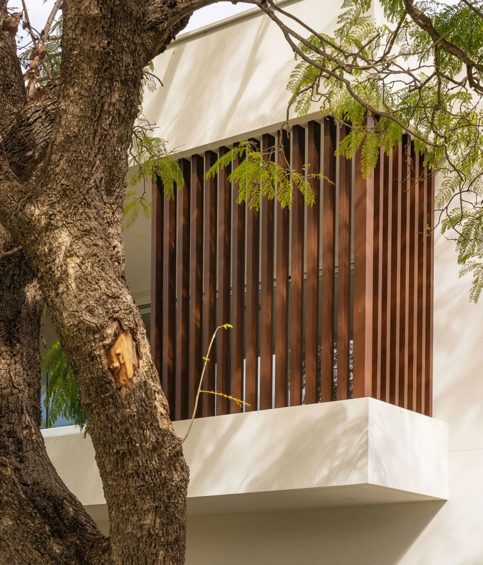 Pinnacle Planning - Clark Street 01