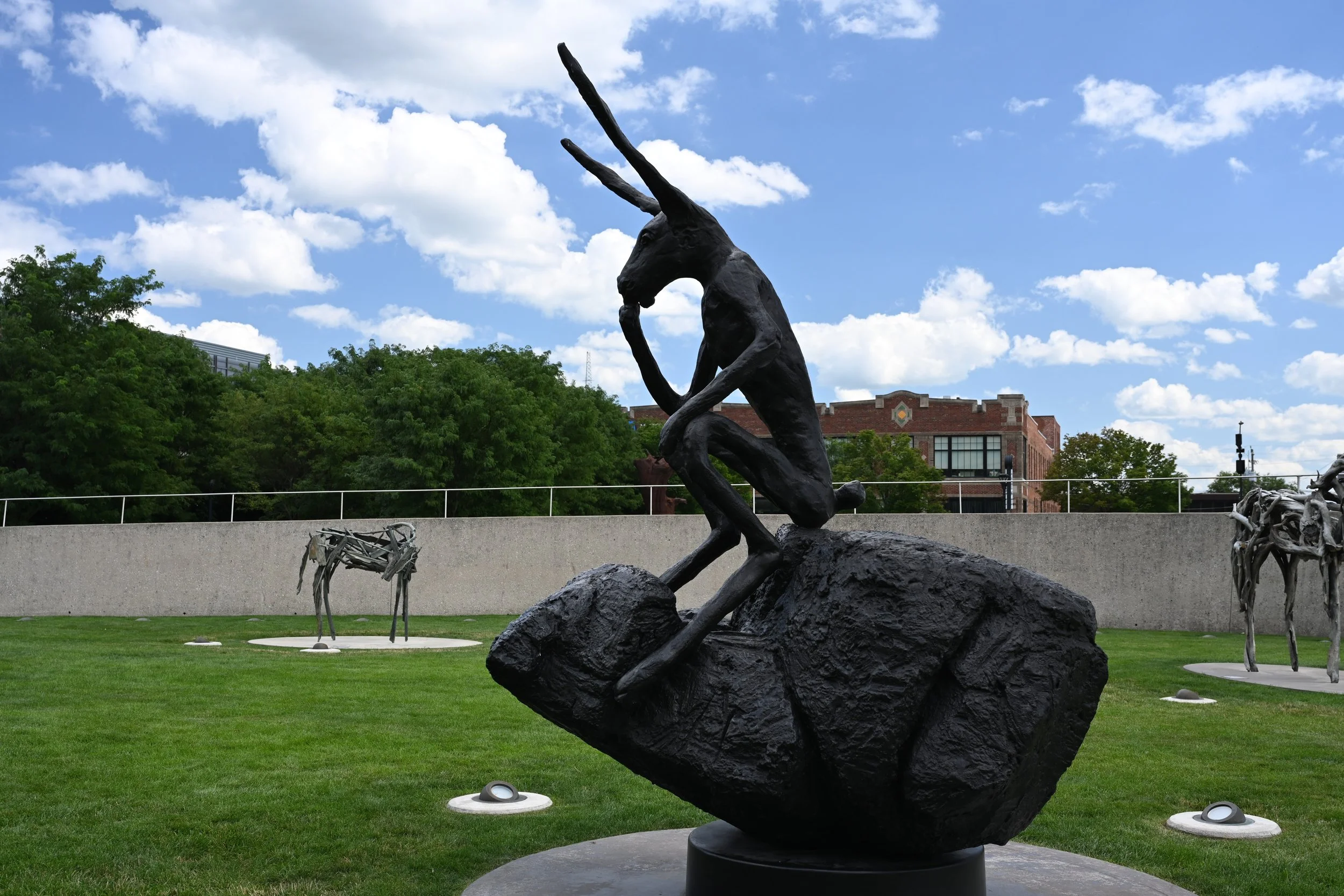 compressedImage (4).jpeg