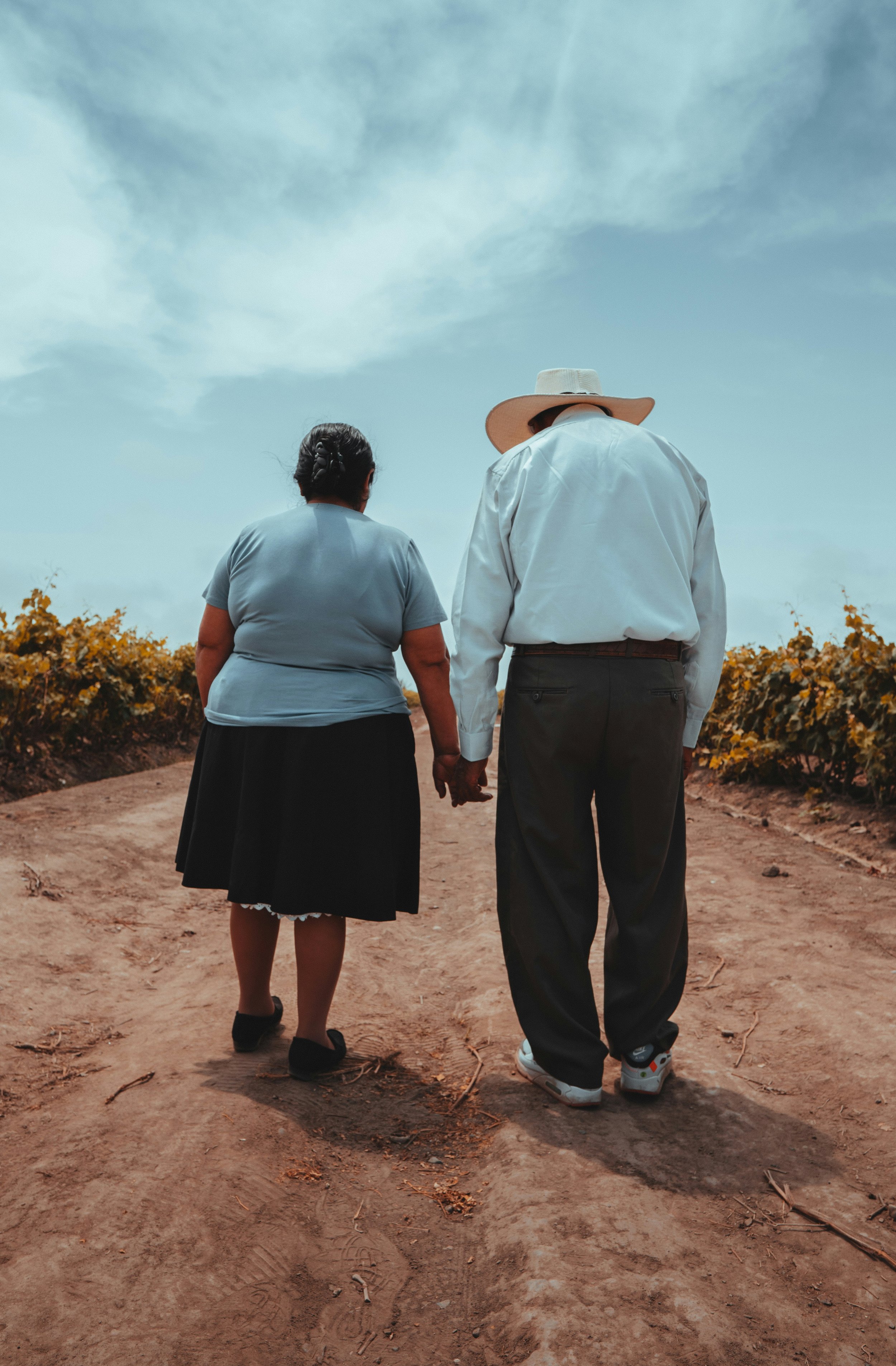 An elderly couple walking hand in hand along a dirt path through a vineyard on a cloudy day.