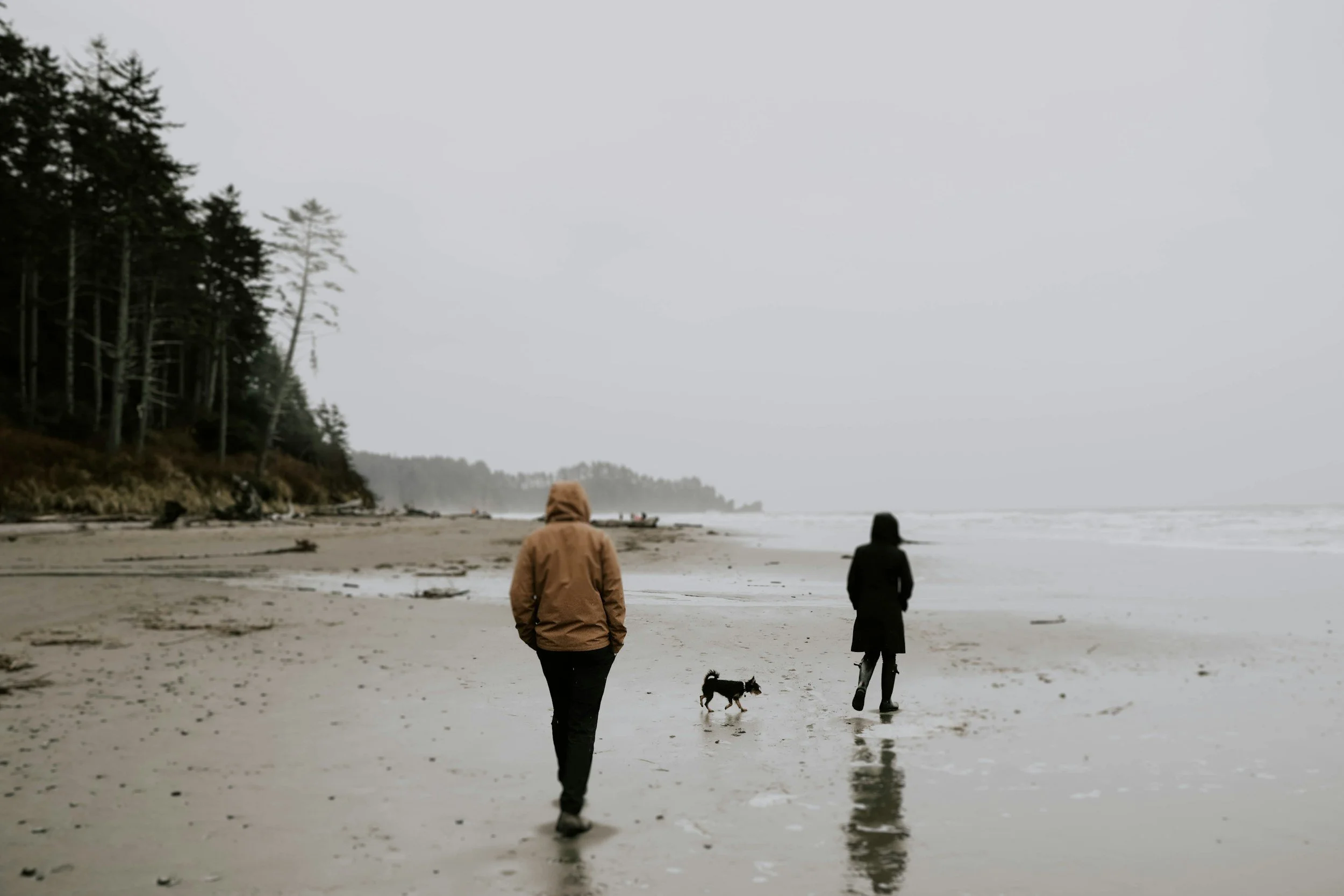 Two people walking along a deserted, misty beach with a small dog, overcast sky, trees on the coastline in the background.