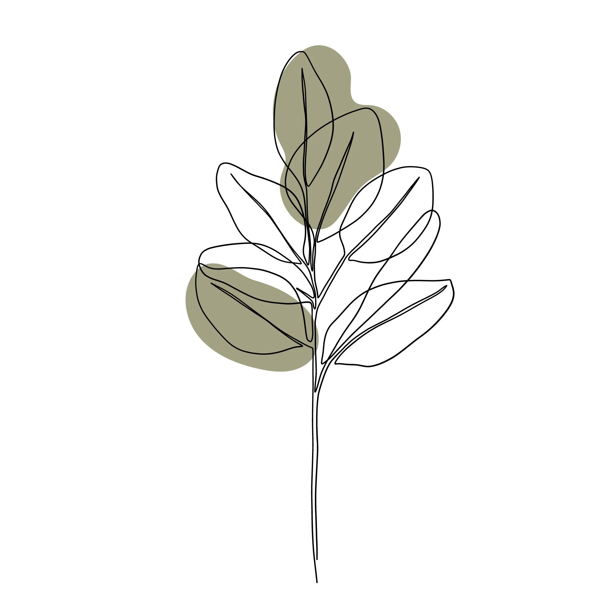 Minimalist line drawing of a plant with green shaded leaves.