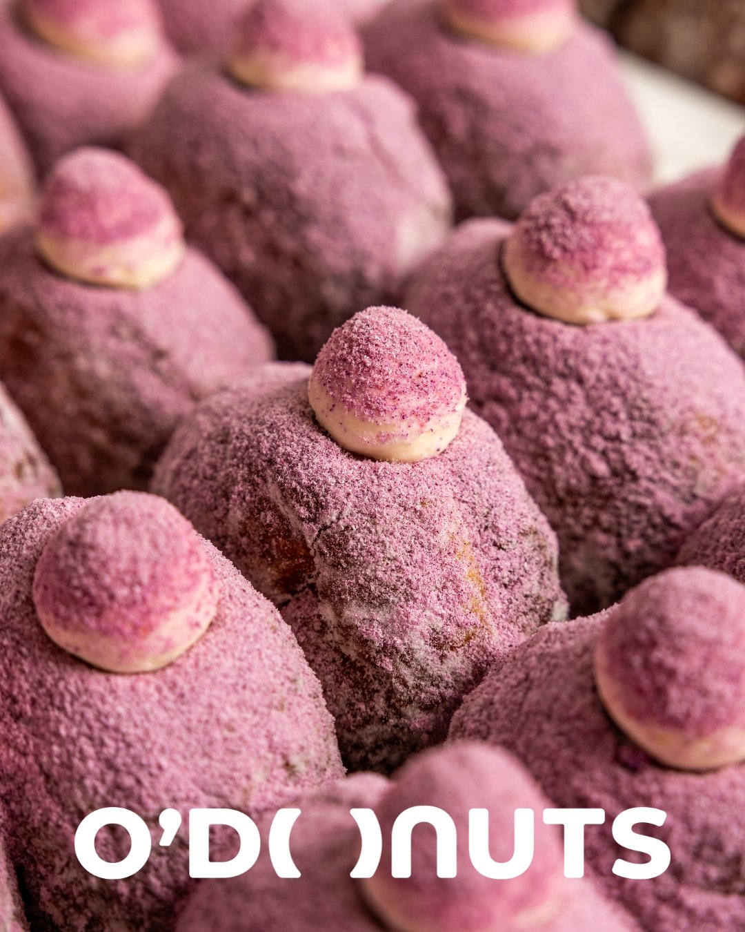 NEW FLAVOUR 💜 UBE TARO

Soft, fluffy pumpkin-blended nama donut filled with smooth ube cream and our house-made taro paste, made with real steamed taro.

Available at BOTH O&rsquo;Donuts stores from 10.10

#ODonutsAU #UbeTaro #Donuts #SydneyFoodie #